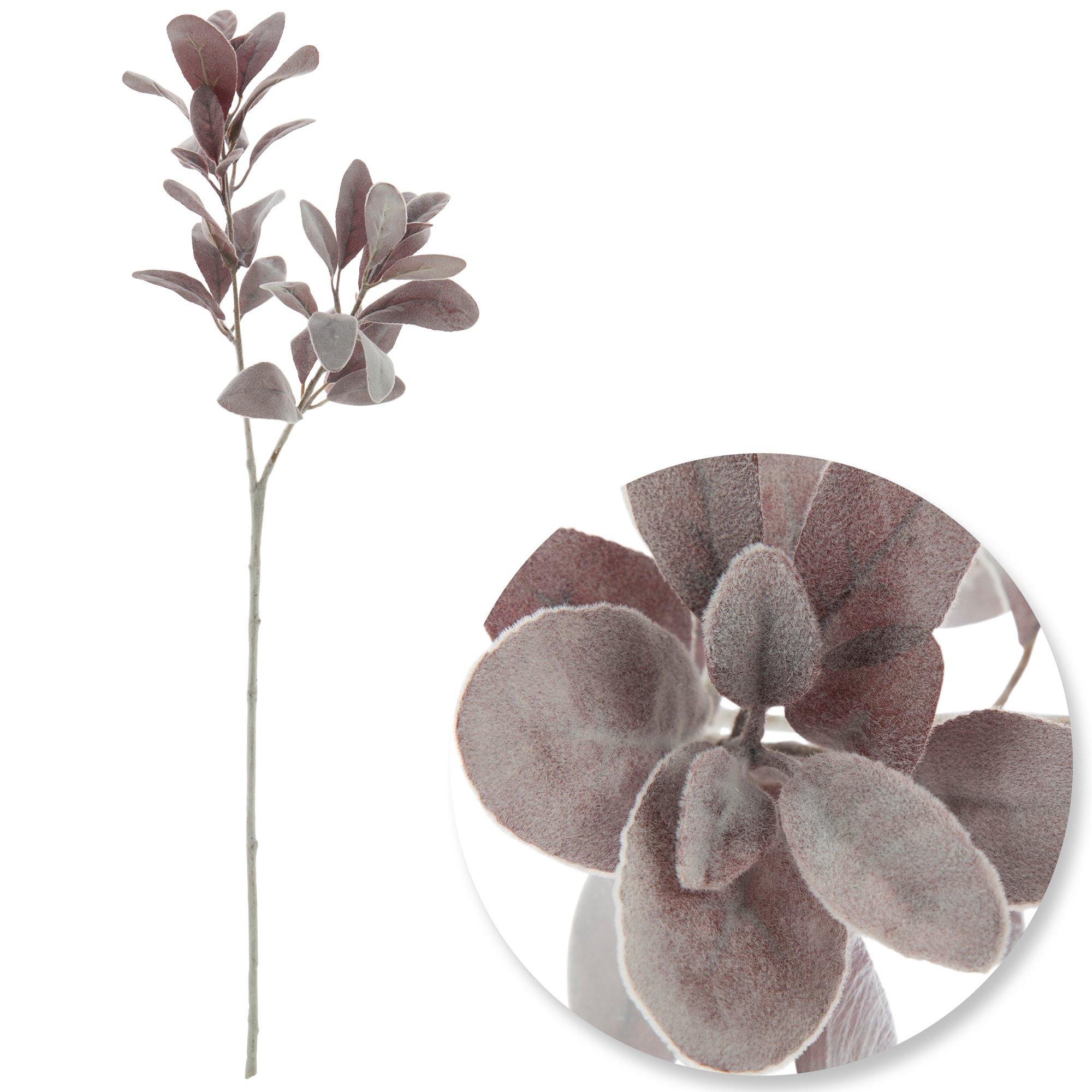 Lambs Ear Stem Hobby Lobby 1084342