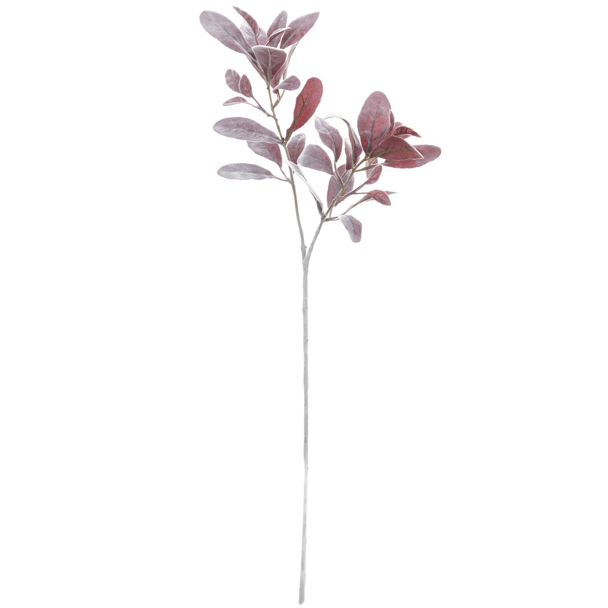 Lambs Ear Stem Hobby Lobby 1084342