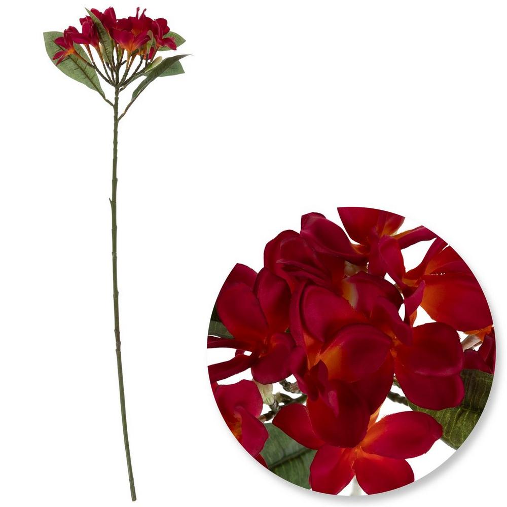 Plumeria Stem | Hobby Lobby | 1084383