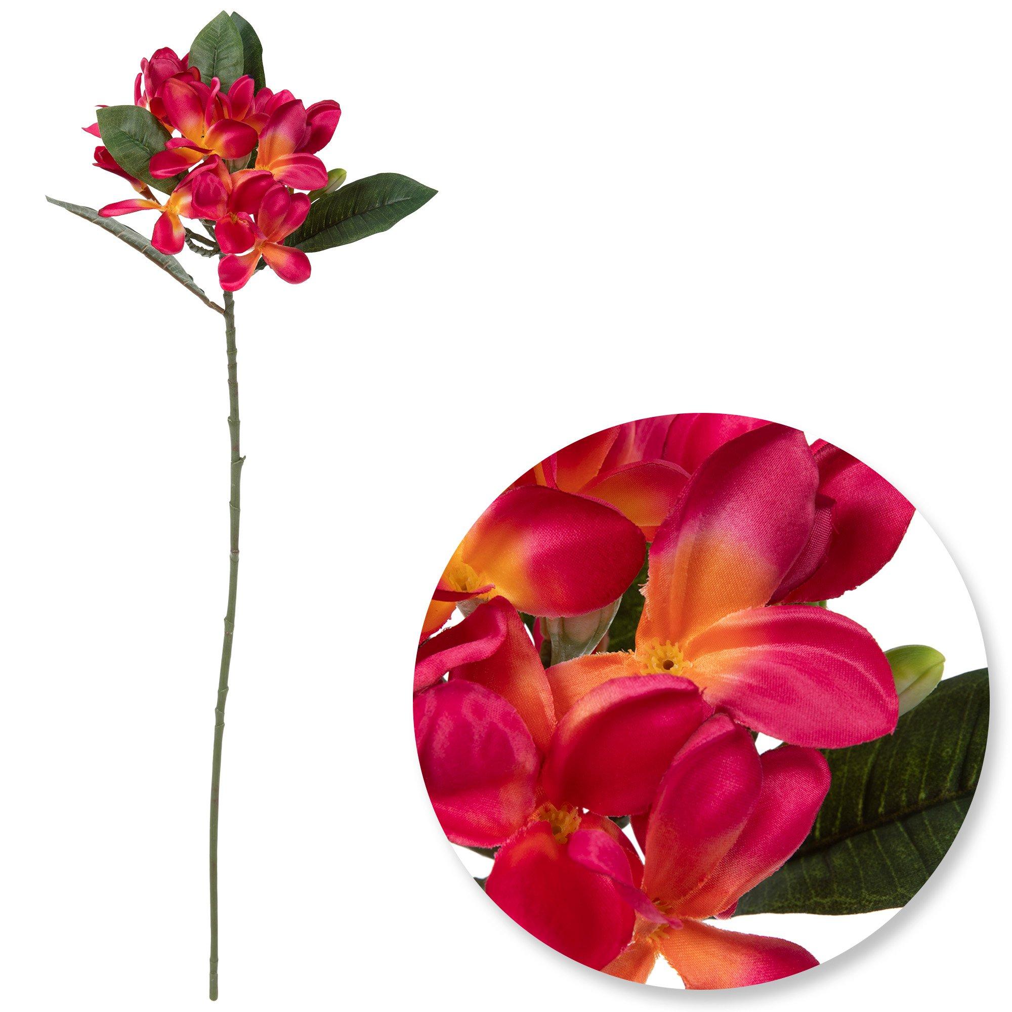 Plumeria Stem | Hobby Lobby | 1084383