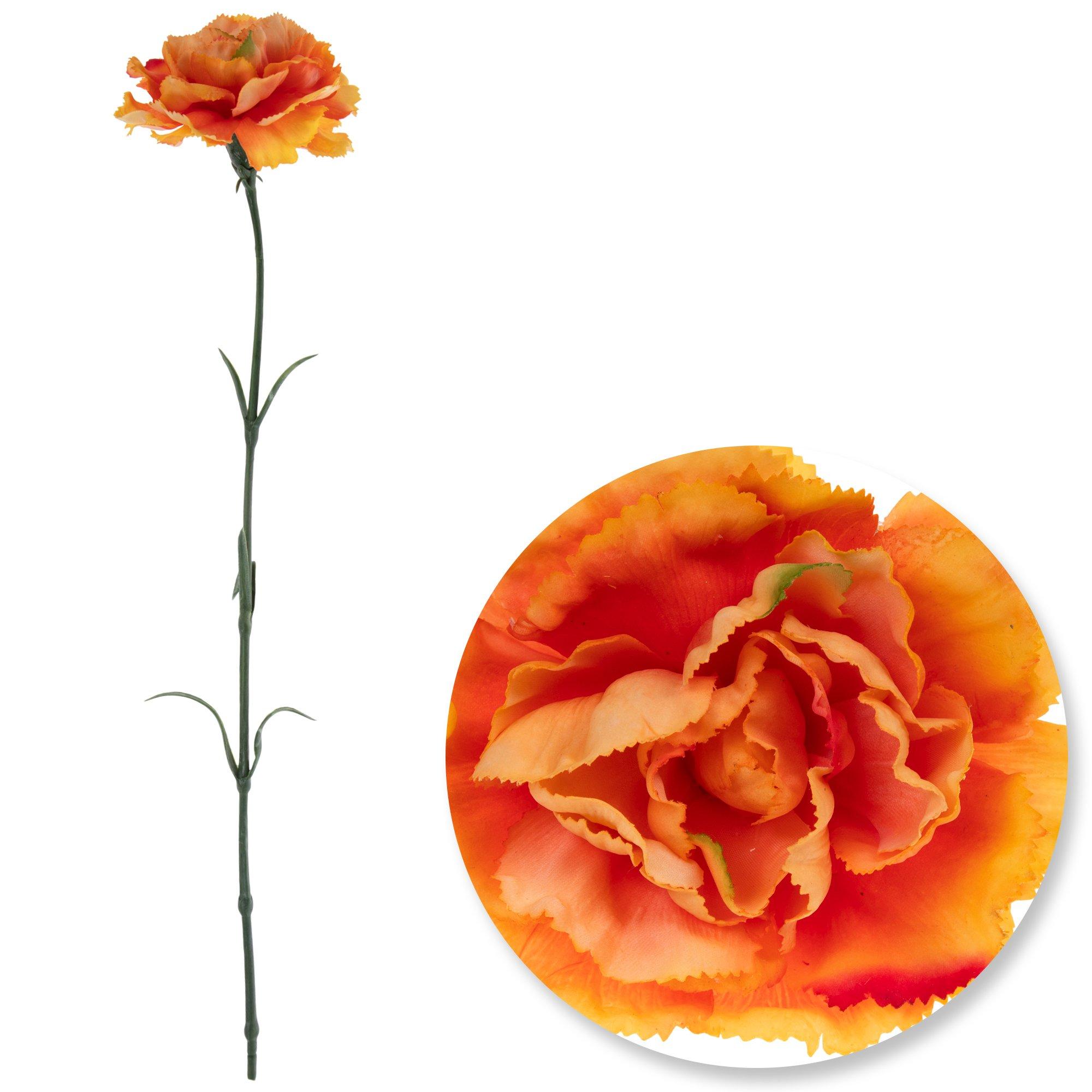 Selected Product Image