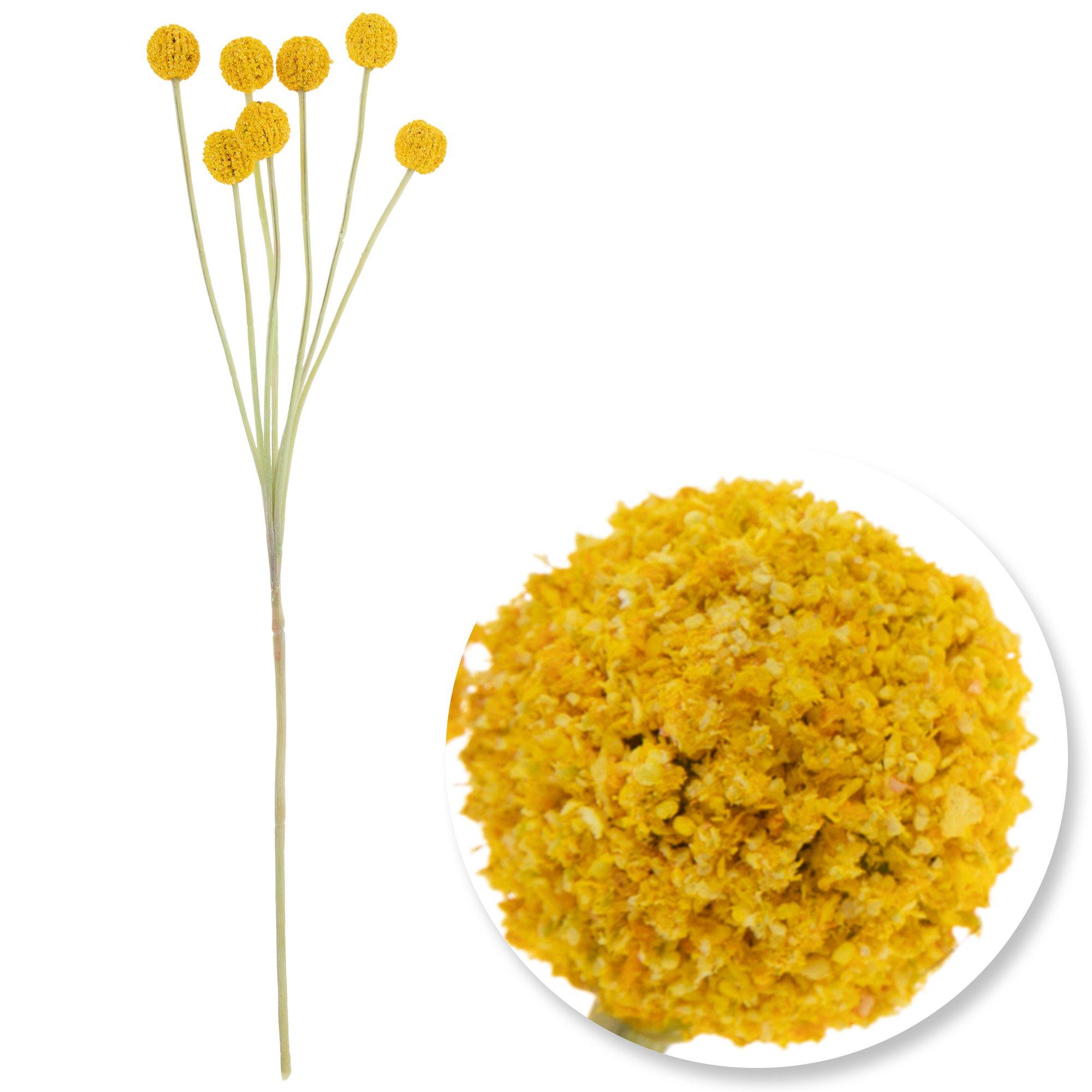 Selected Product Image