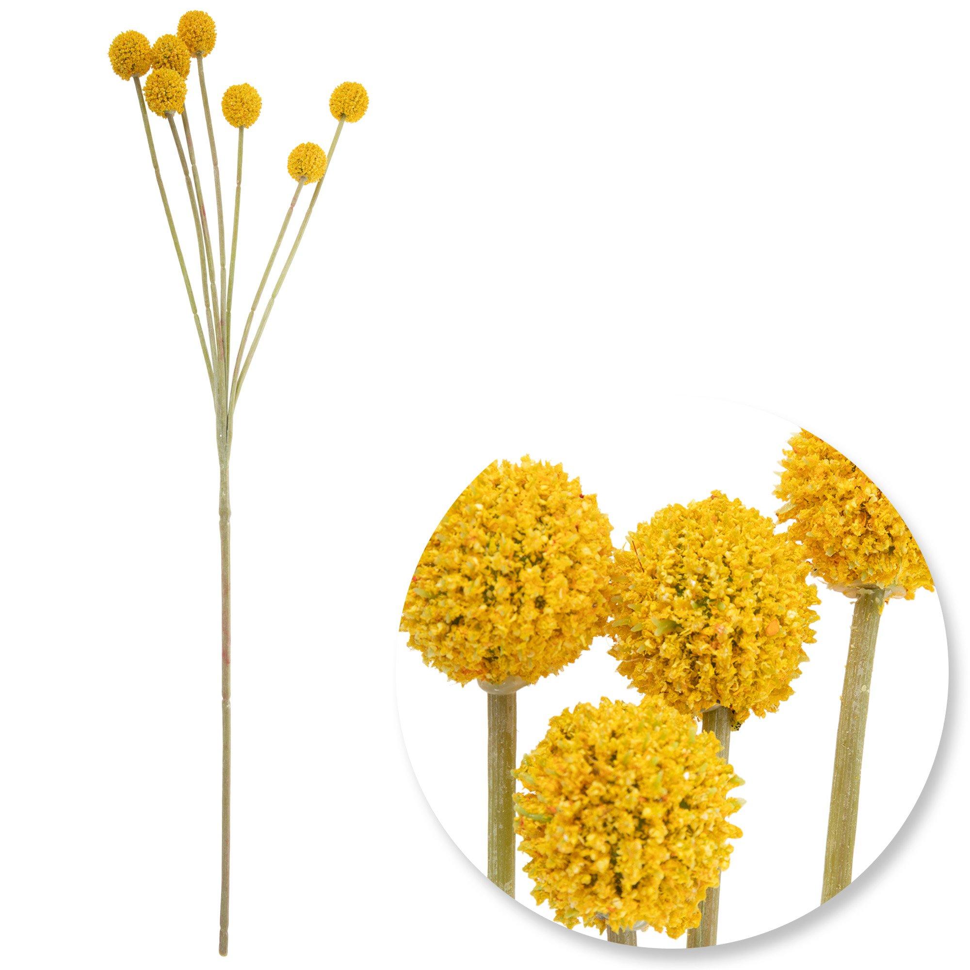 Selected Product Image