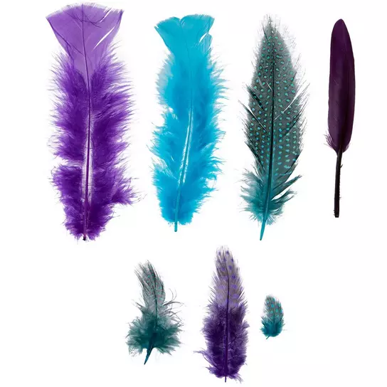Craft Feathers, Hobby Lobby