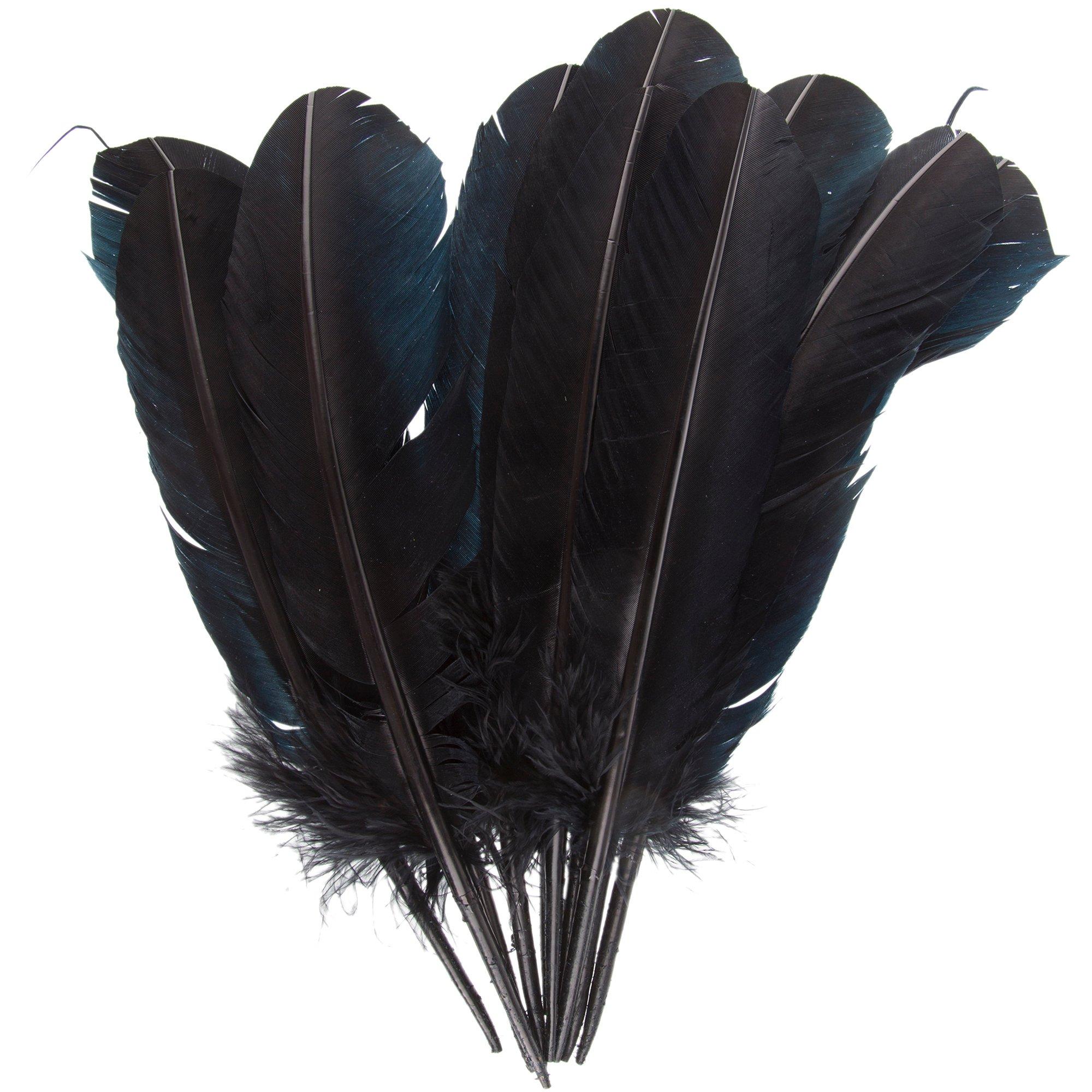 Turkey Feather Round Wing - 12 Pcs. (All Lefts) Kelly Green Feathers -  Regalia