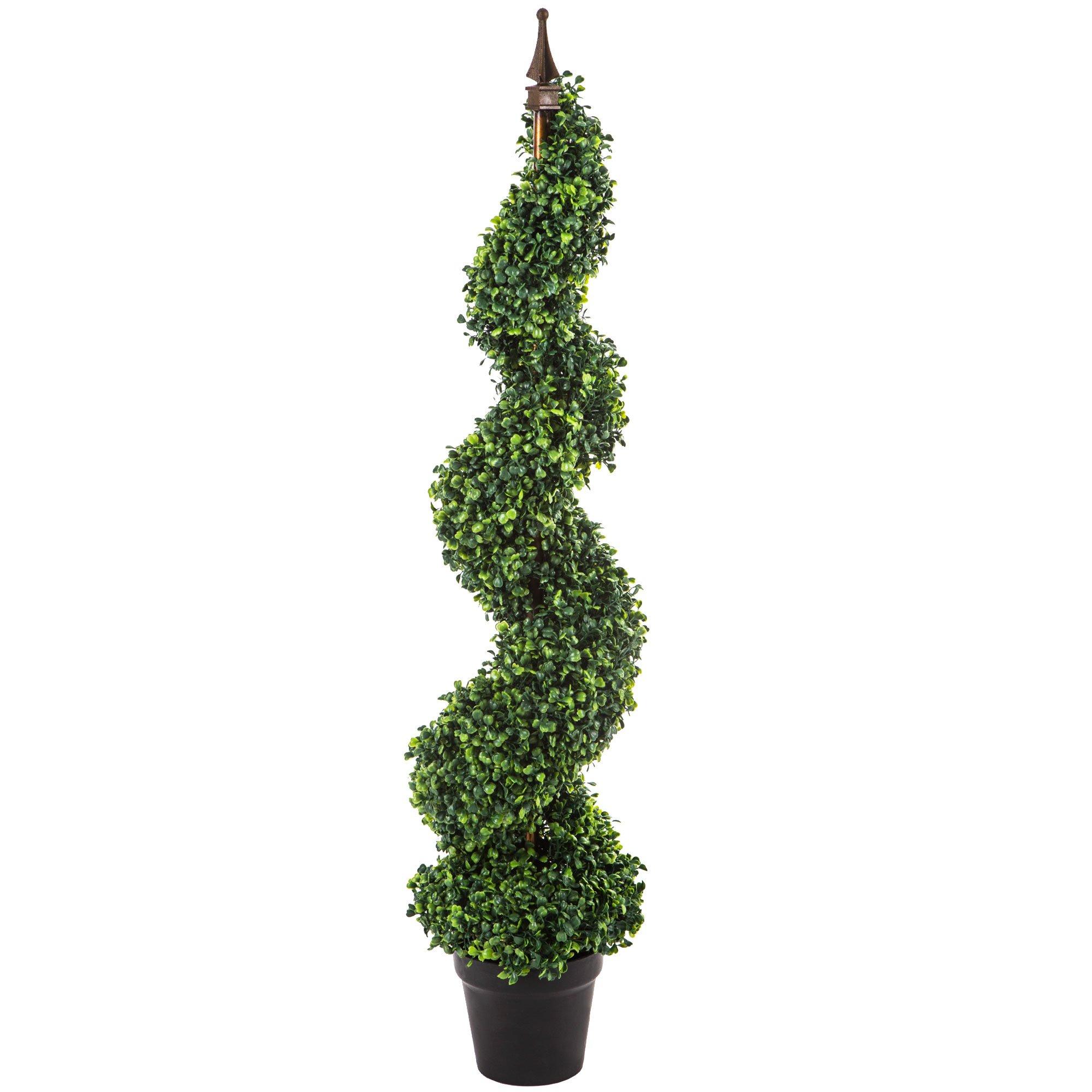 Boxwood Spiral Topiary Hobby Lobby 1087246