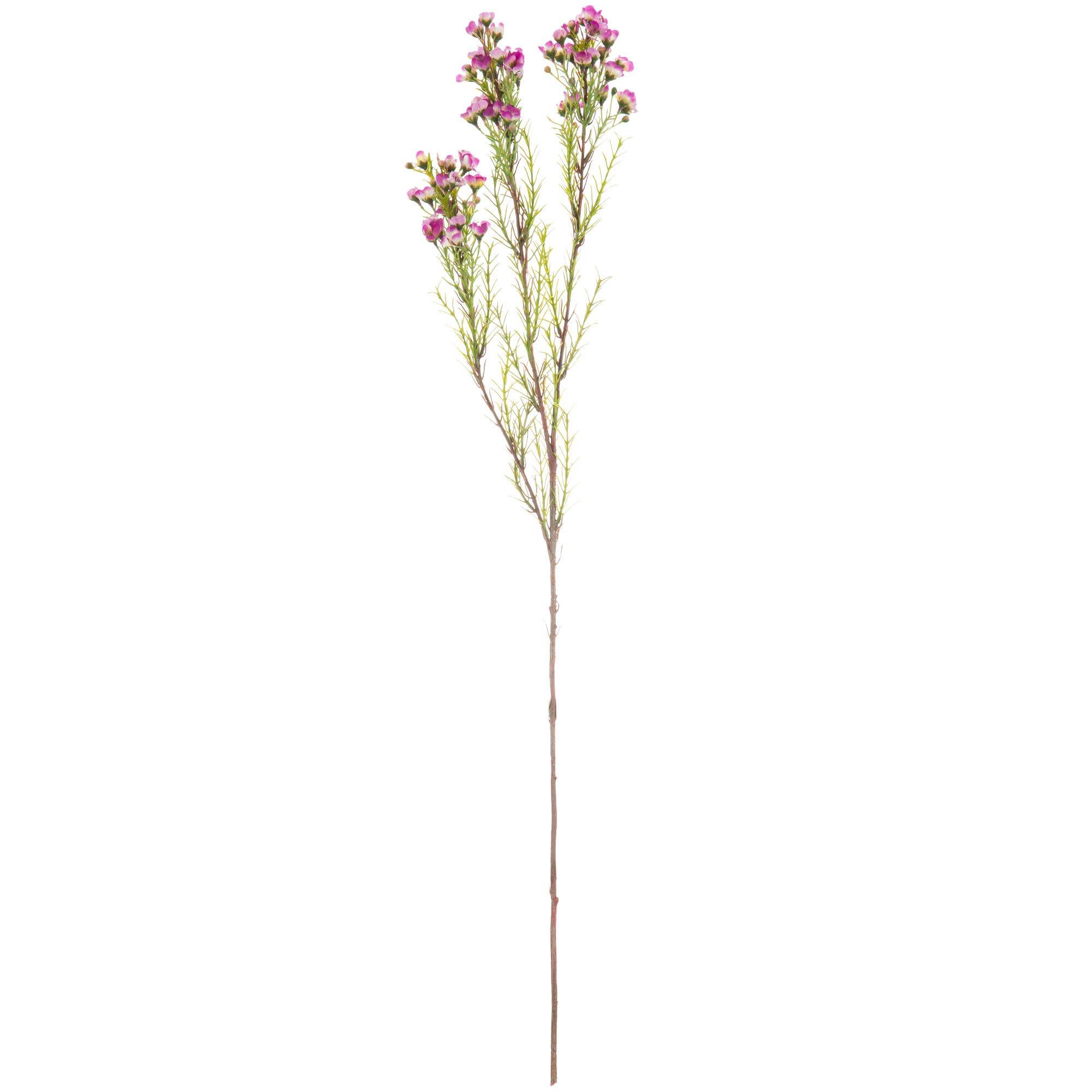 Fuchsia & Green Chamelaucium Stem | Hobby Lobby | 1091842