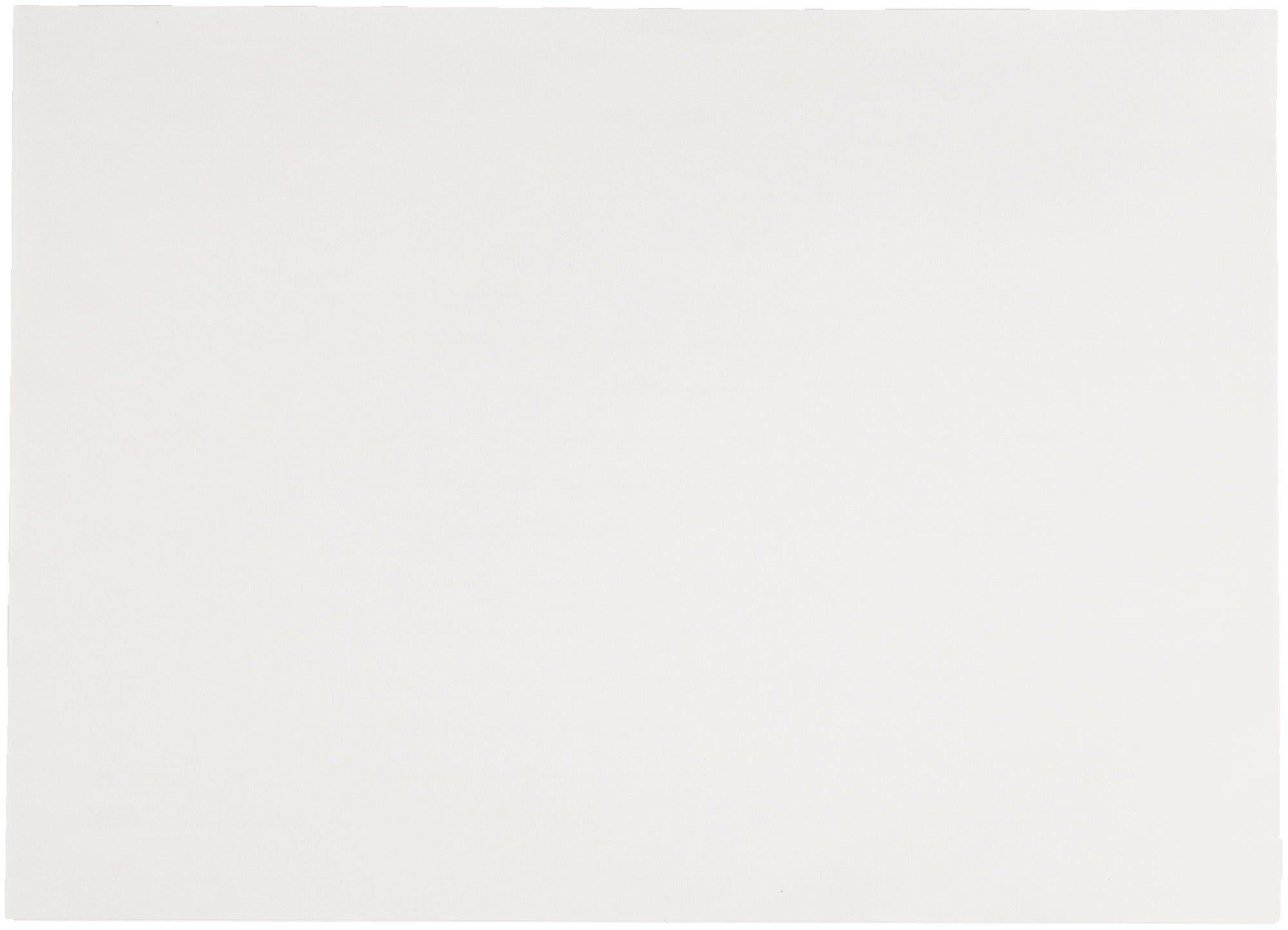 Canson Drawing Charcoal Paper 18" x 24" Hobby Lobby 1123397