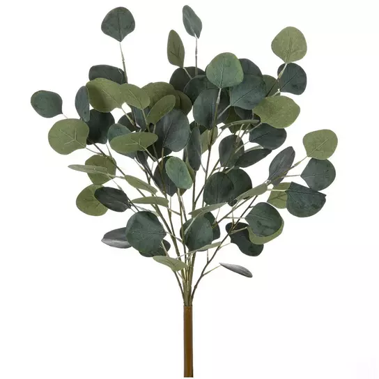 Eucalyptus Bush, Hobby Lobby