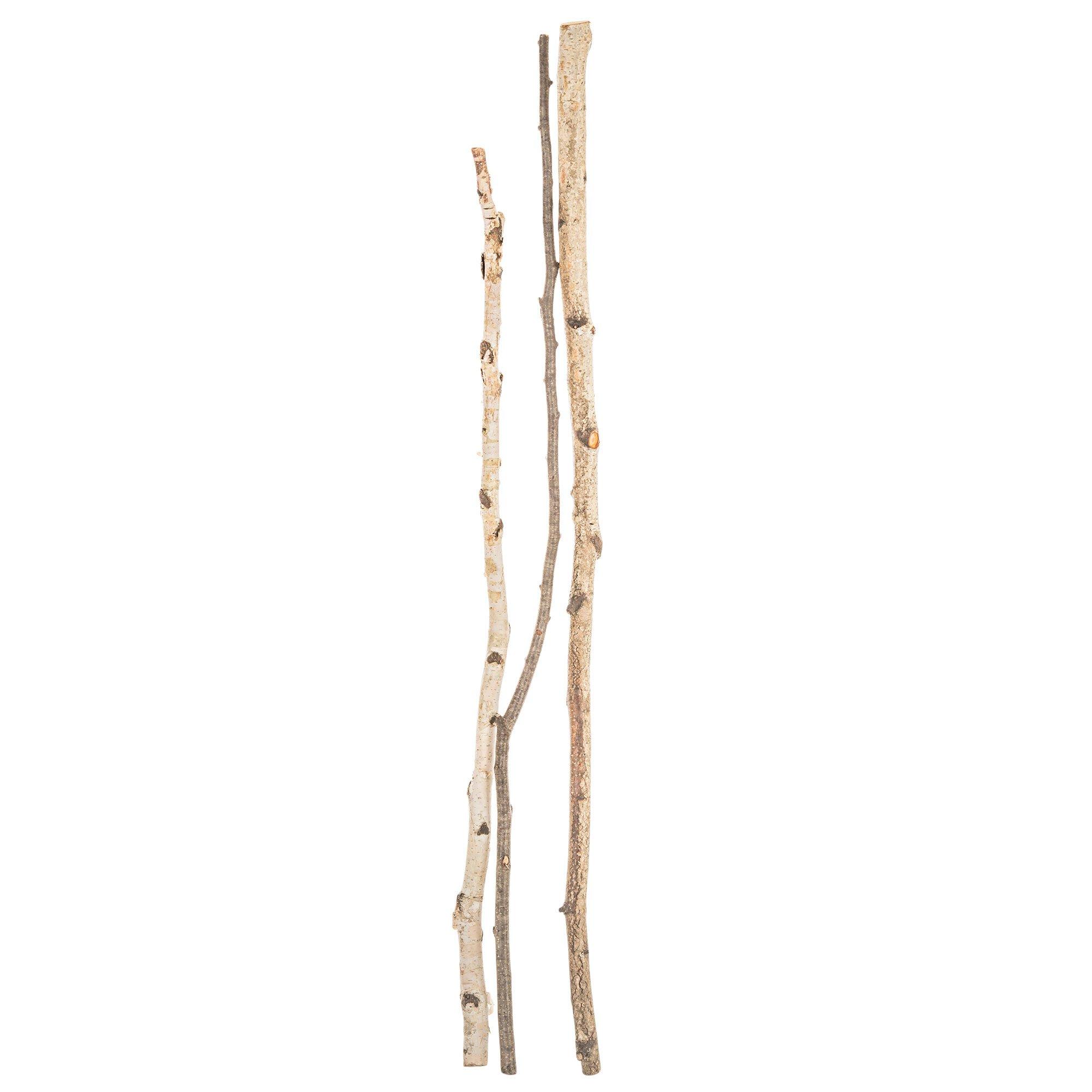 Birch Sticks, Hobby Lobby