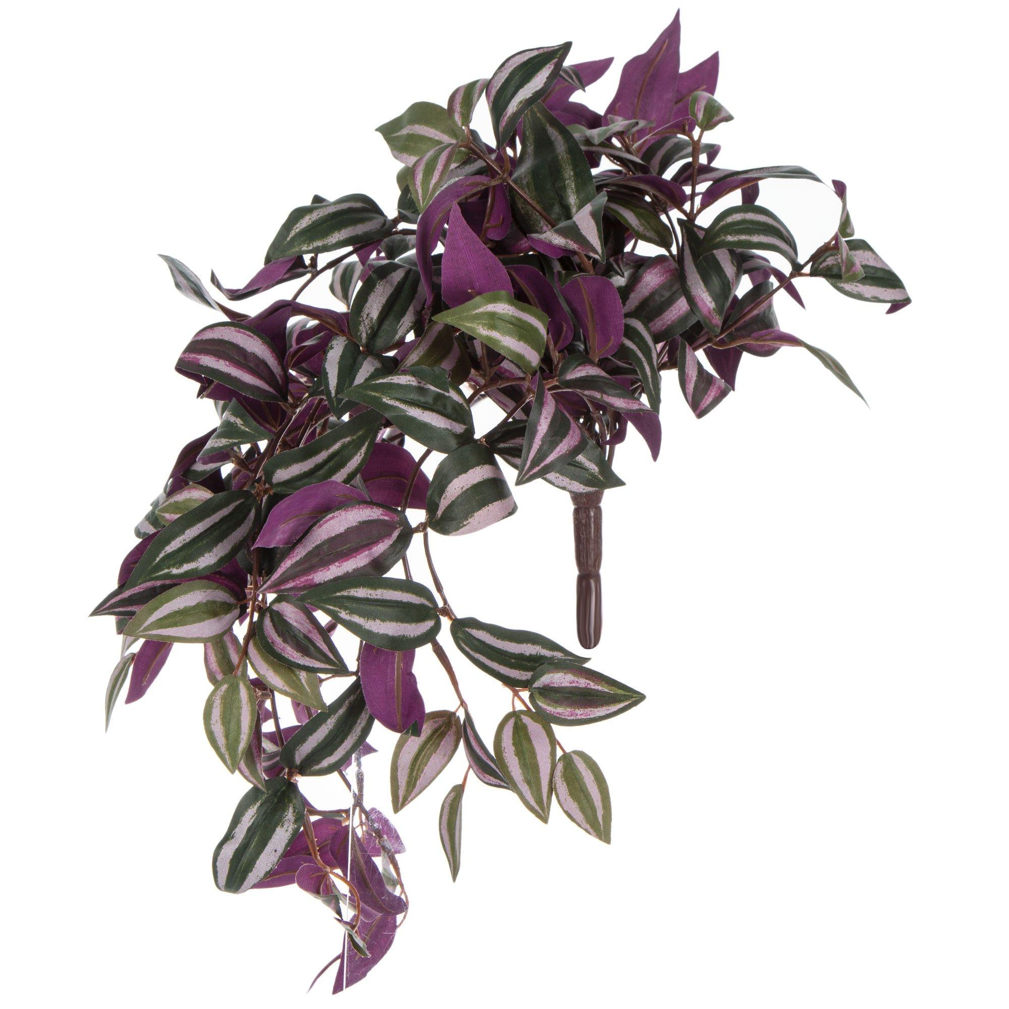 Red Inch Plant Hobby Lobby 116244