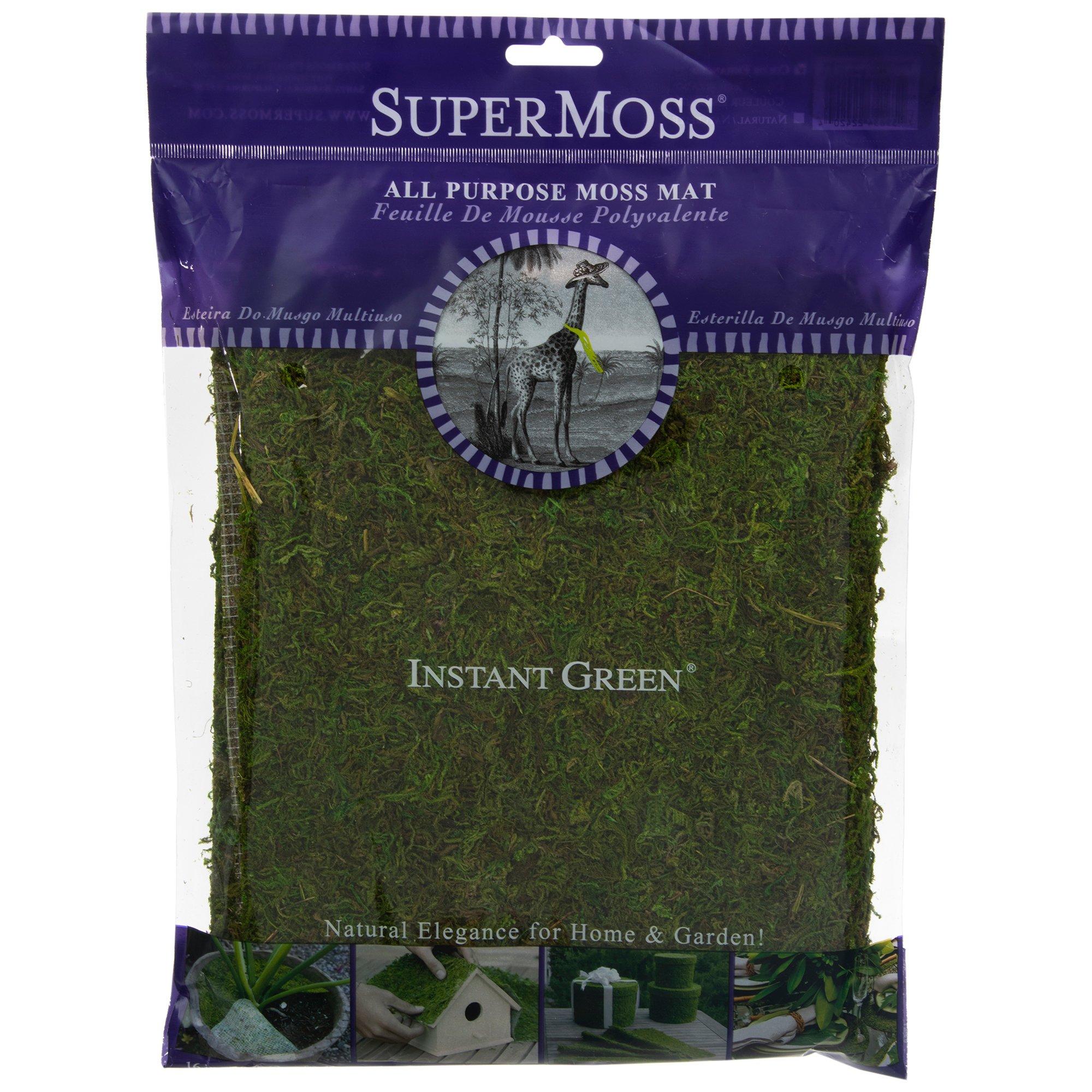 限定20本 MOSS BOARDS MAJEST Super Moss: Sheet / Forrest Moss