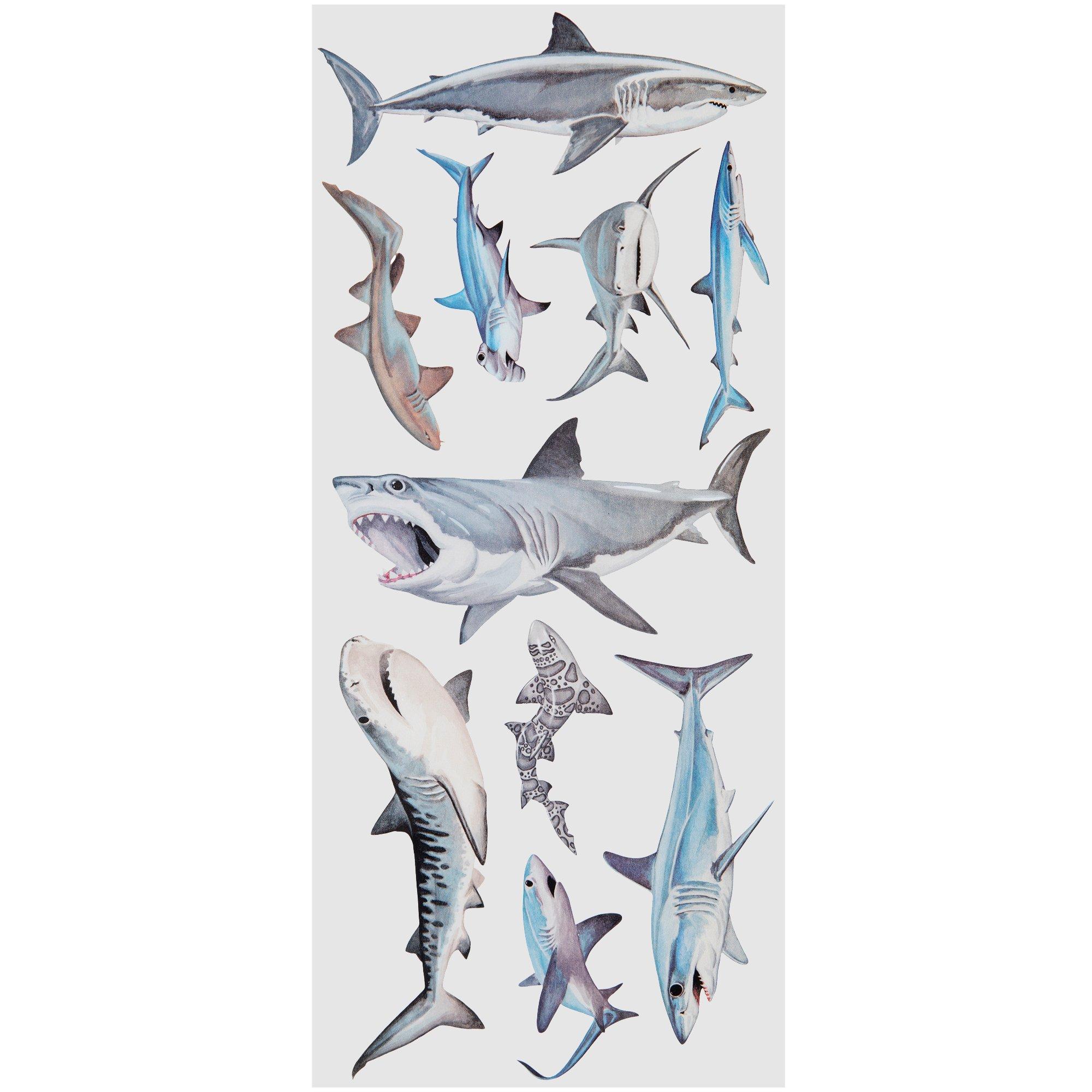 SHARK ポスター 先日、お店に男前が2人来たのでポスターにサインしてもらいまし