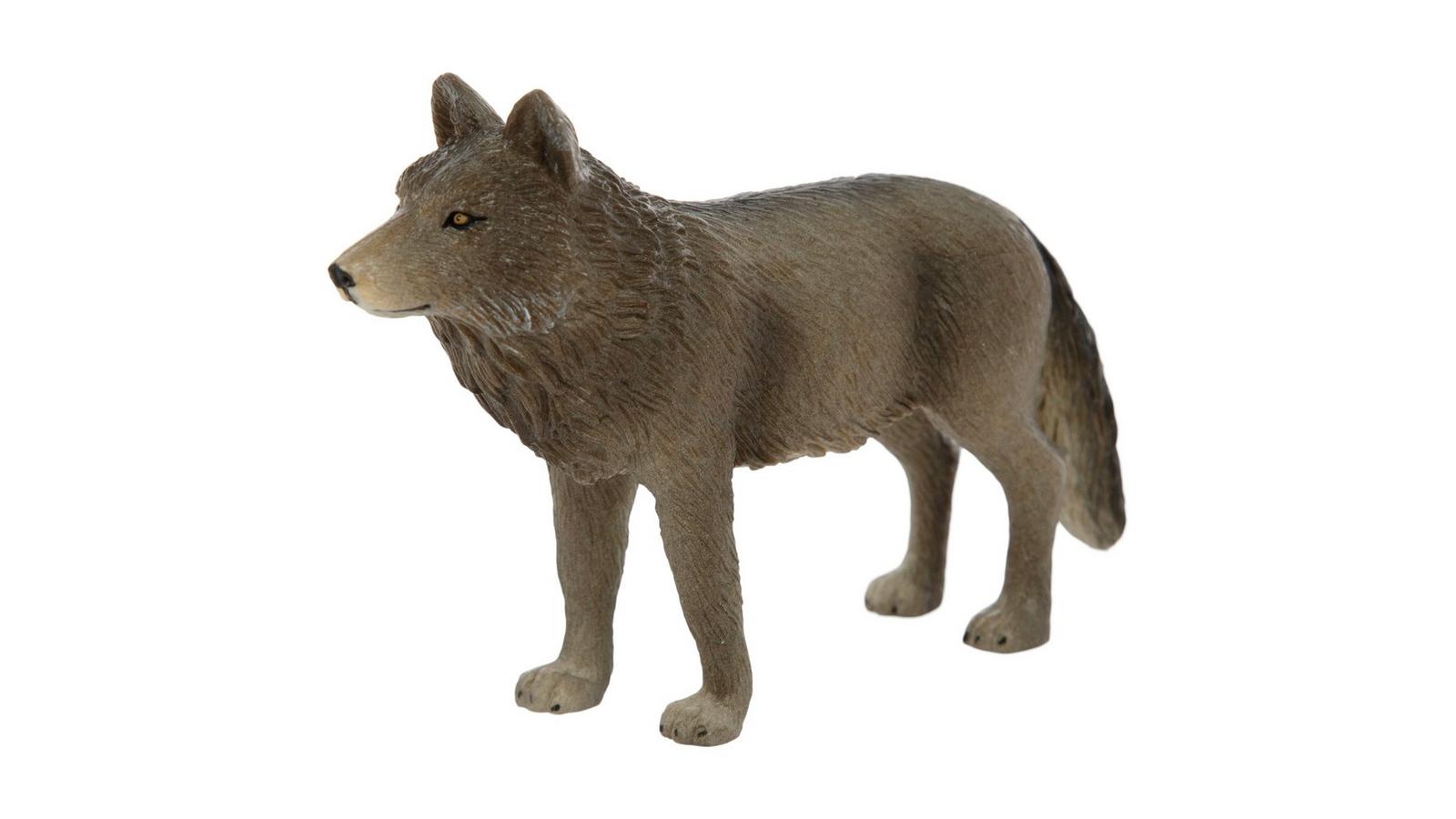 1198068-80729122-12182024-