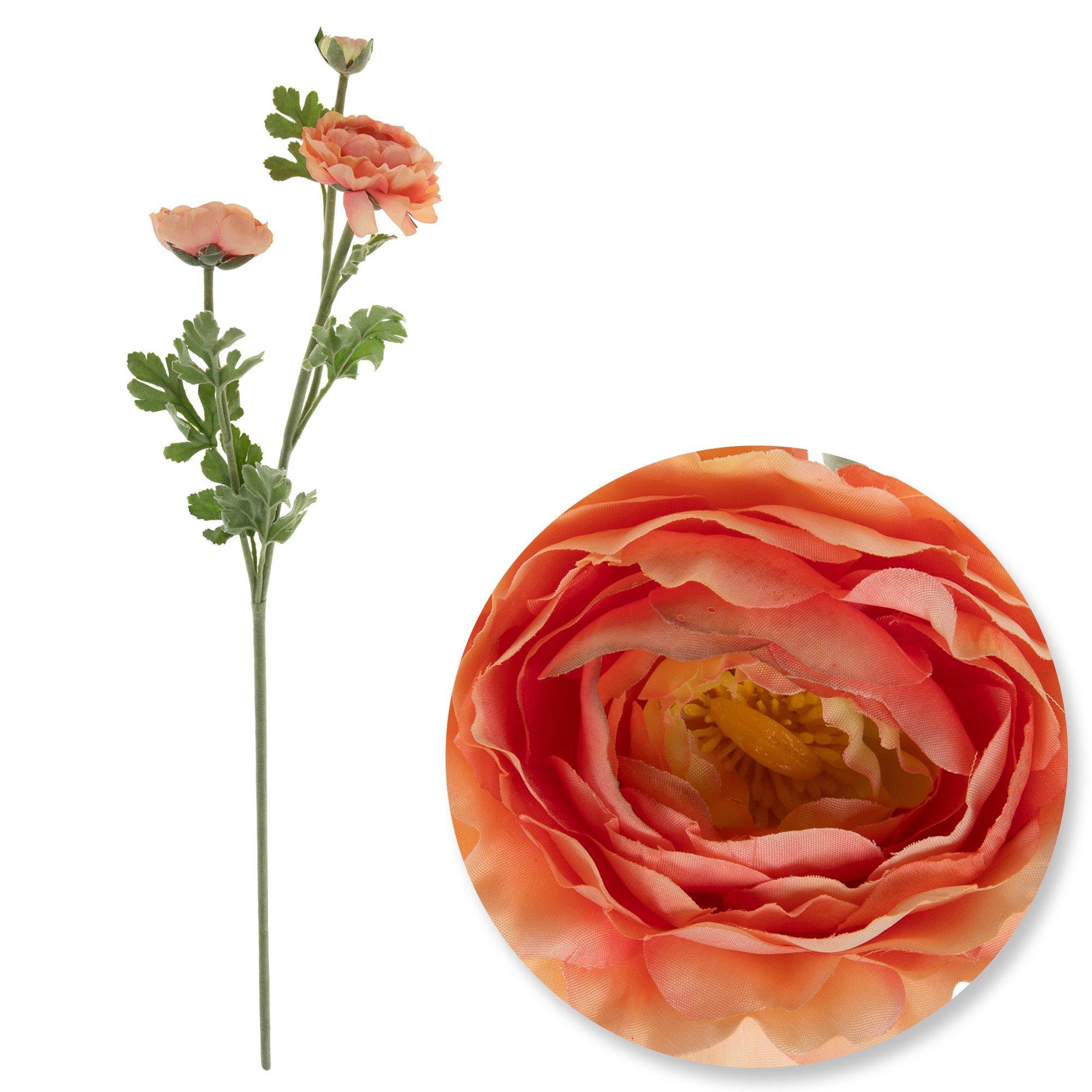 Selected Product Image