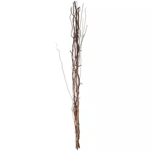 Birch Branches with Berries & White LED Lights, Hobby Lobby