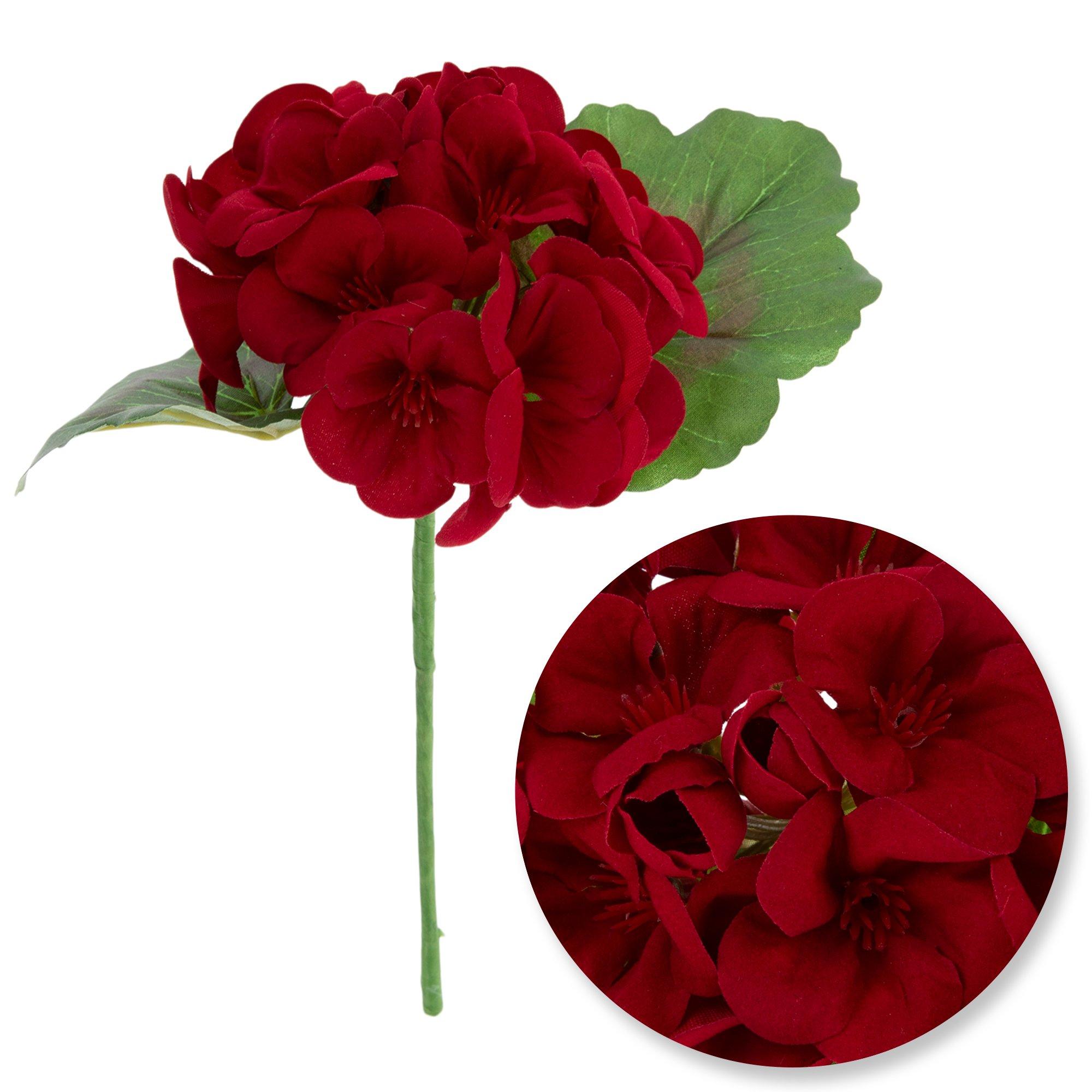 Selected Product Image