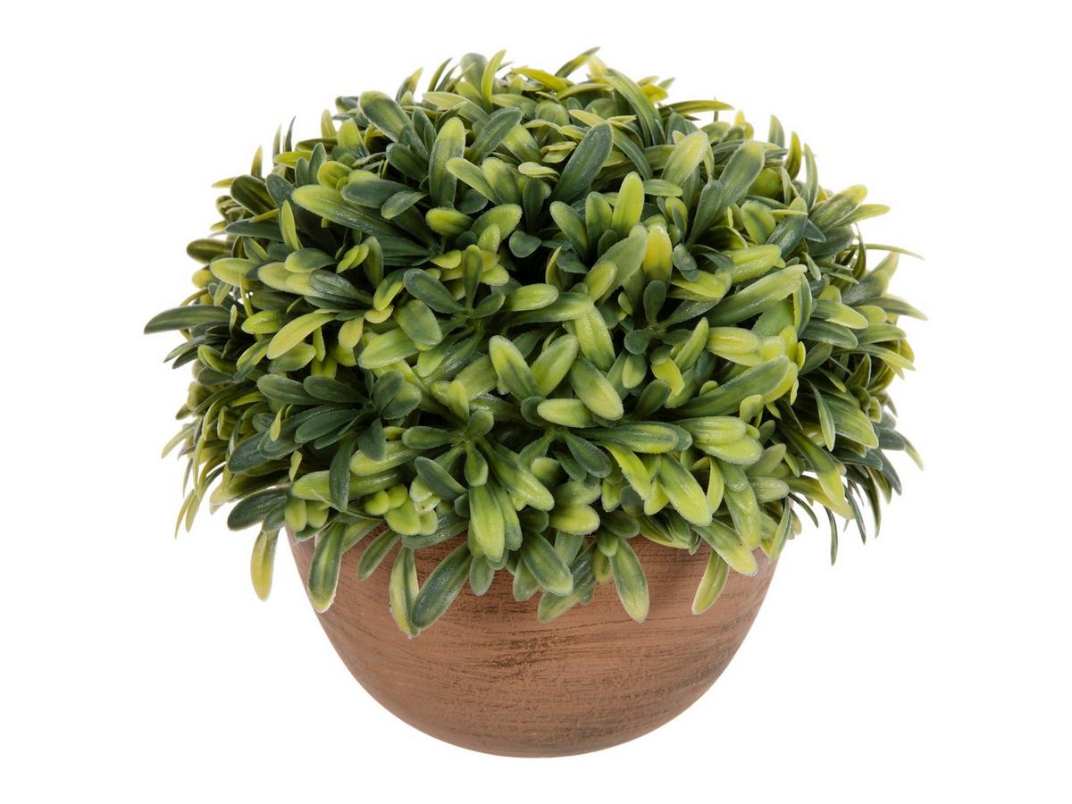 Rosemary In Orange Bowl | Hobby Lobby | 1220599