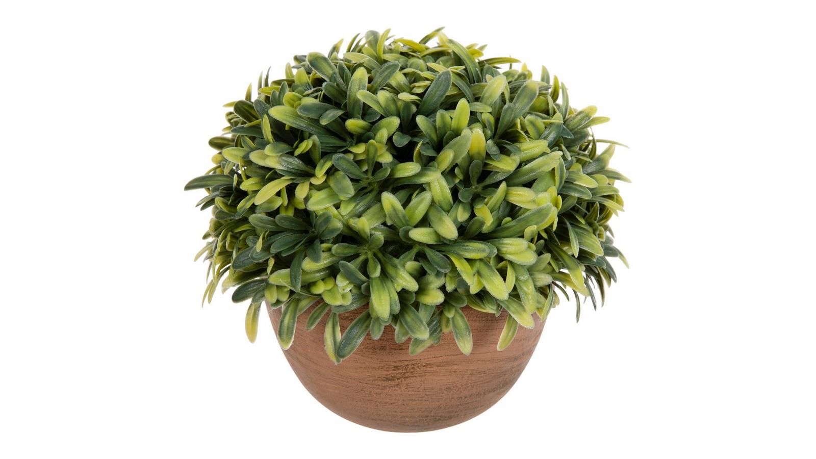 Rosemary In Orange Bowl | Hobby Lobby | 1220599