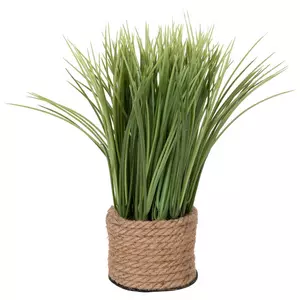 Grass In Rope Container