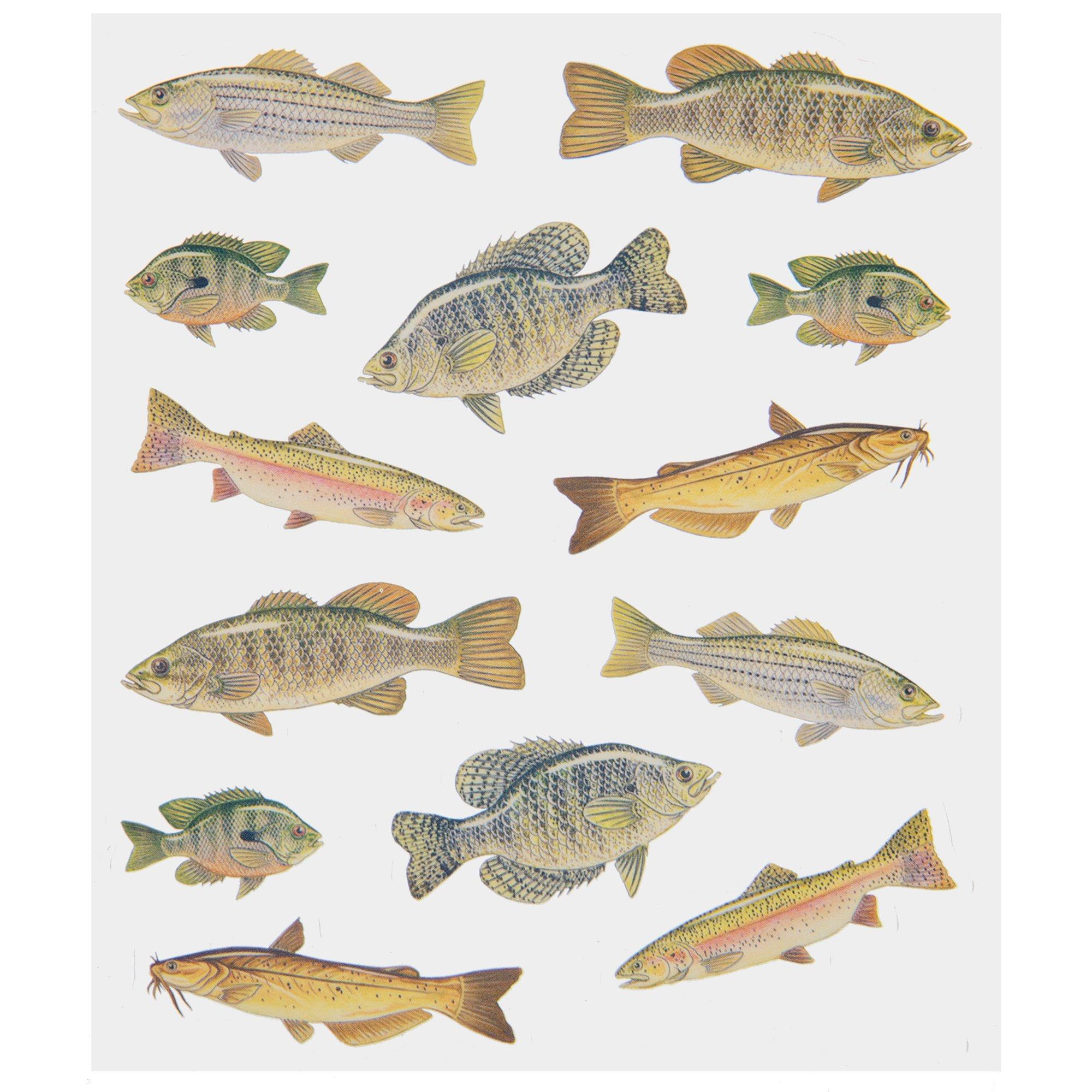 Fish On Fishing Pole Collage Frame, Hobby Lobby