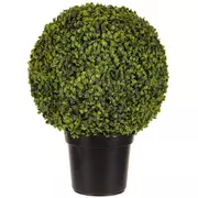 Boxwood Round Topiary