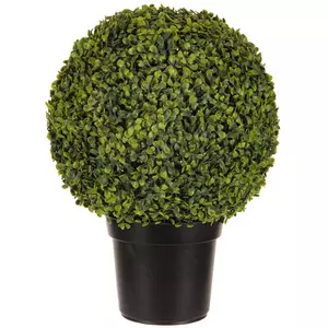 Boxwood Round Topiary