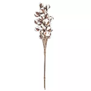 Hobby Lobby - Dried florals like caspia, lavender, lotus pods and