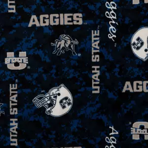 NCAA Fleece Fabric- Louisville Block