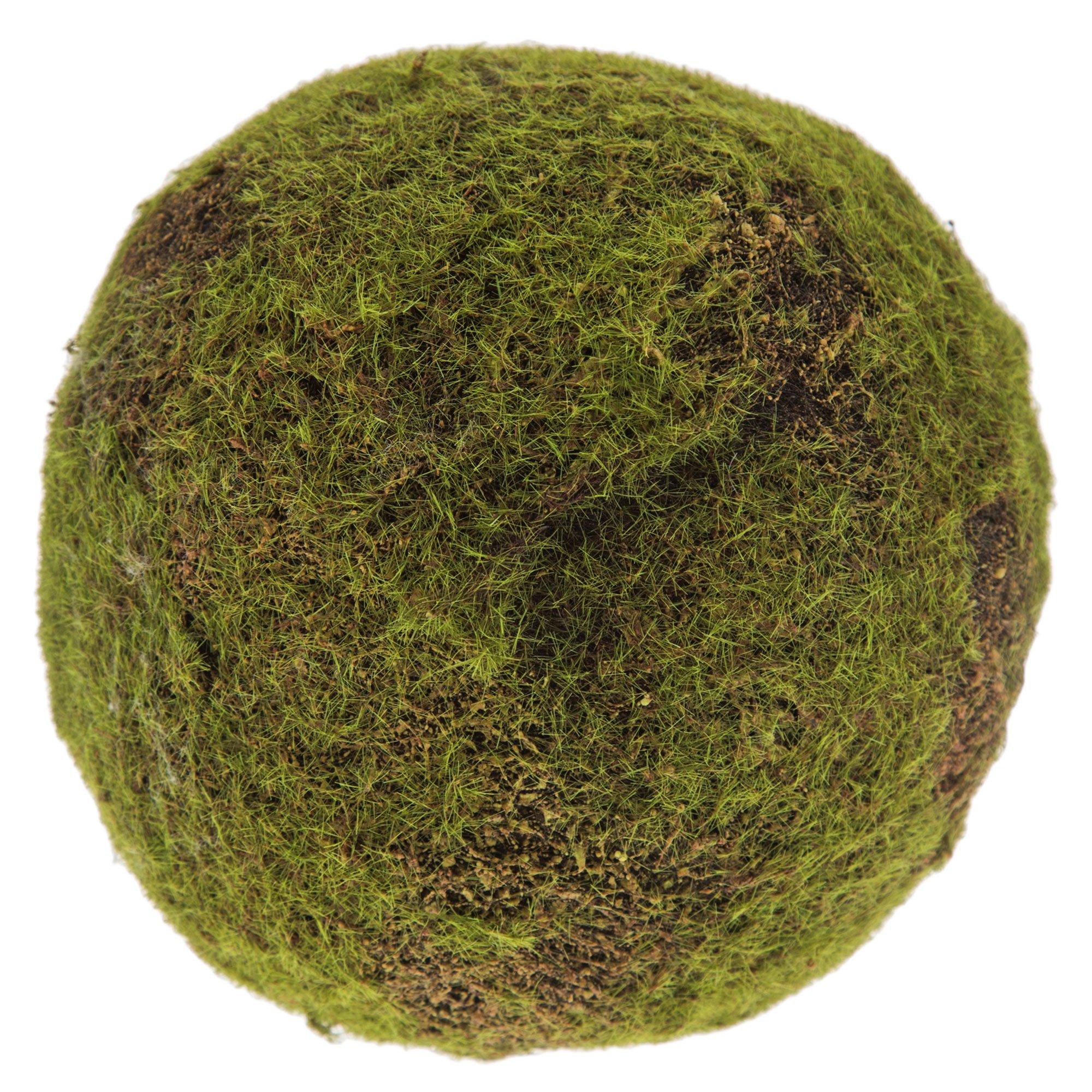 Moss Decorative Sphere Hobby Lobby 131524
