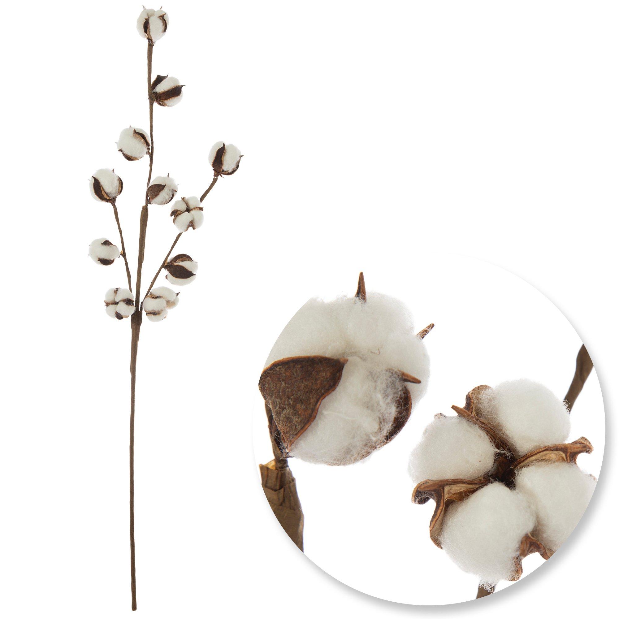 Selected Product Image