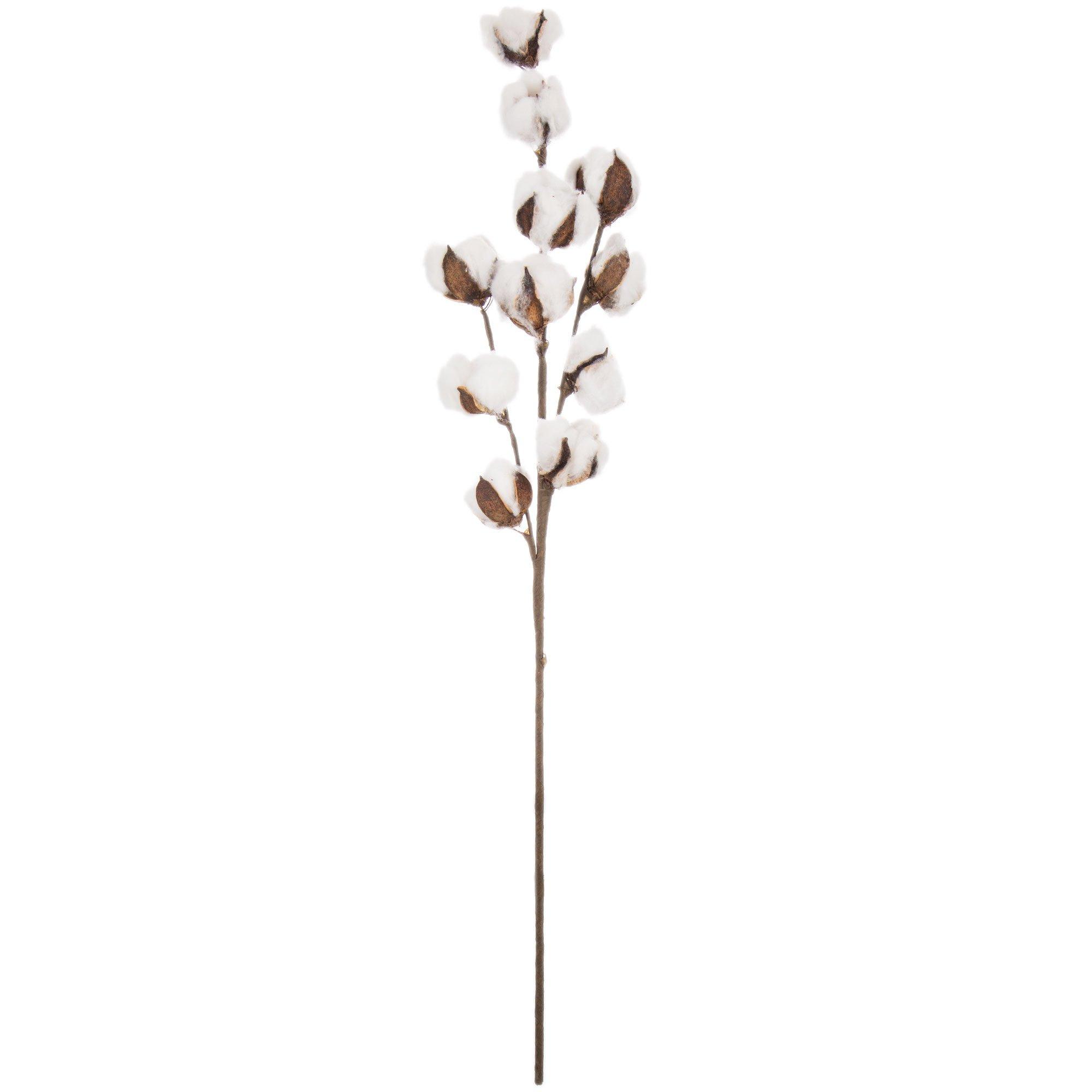 Cotton Stem Hobby Lobby 1338060