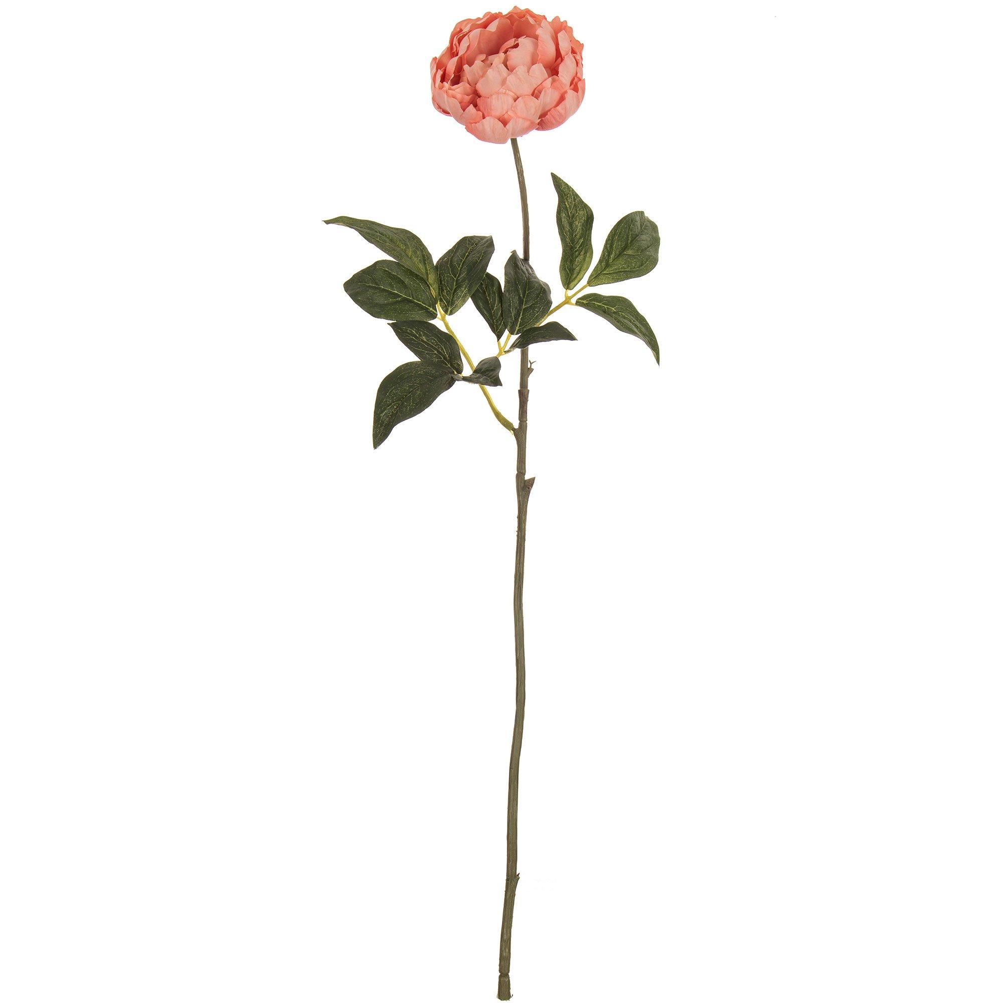 Peony Stem Hobby Lobby 135657