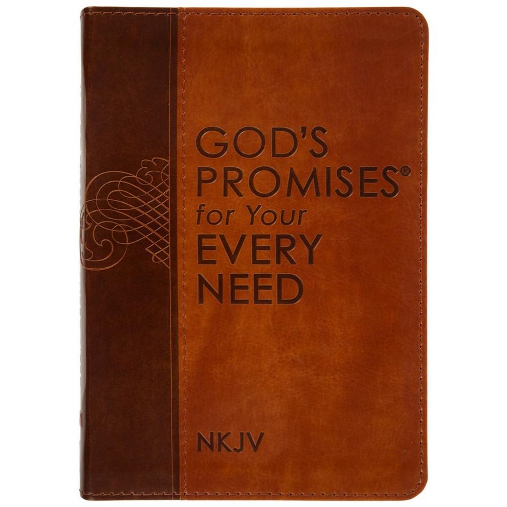 God's Promises For Your Every Need
