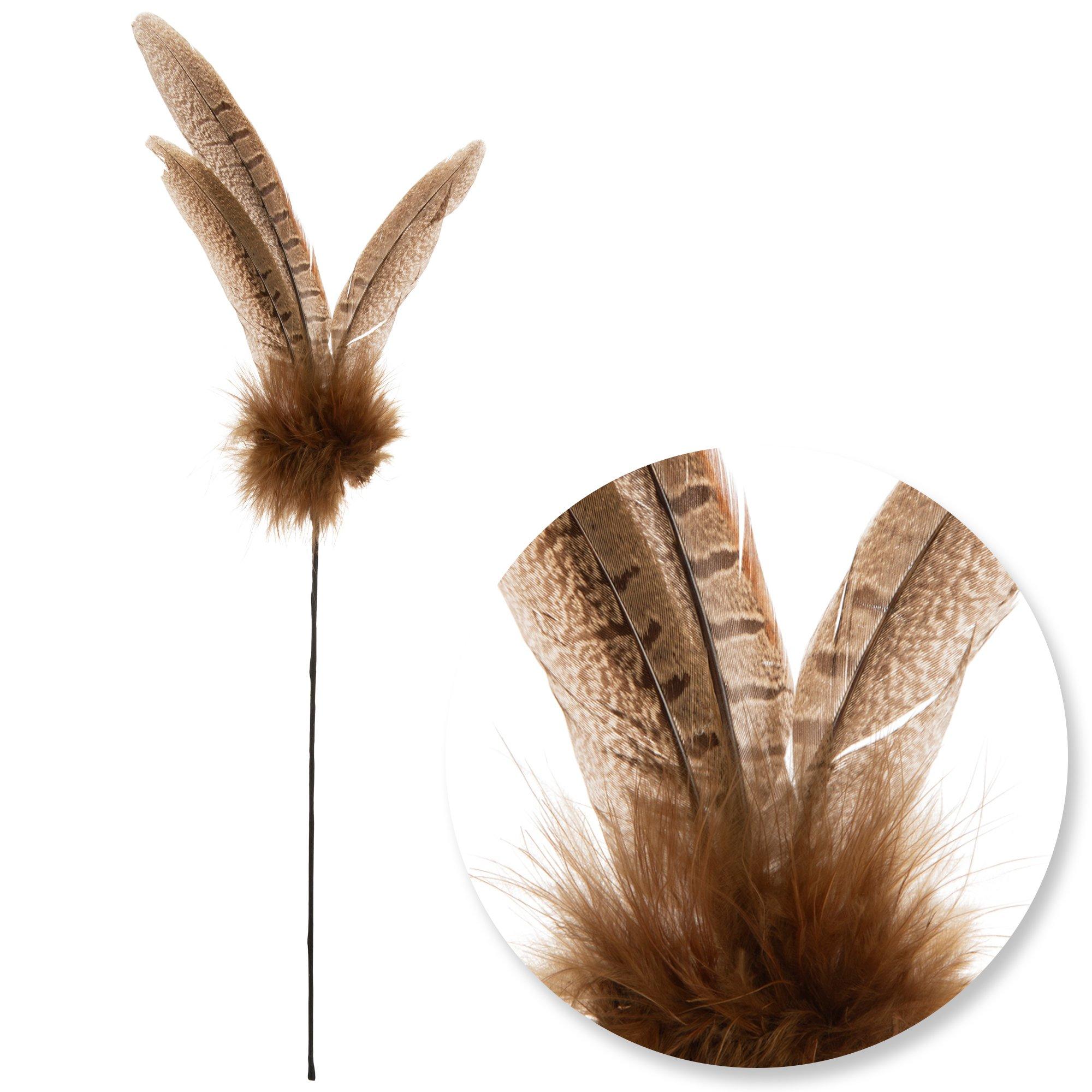 Selected Product Image