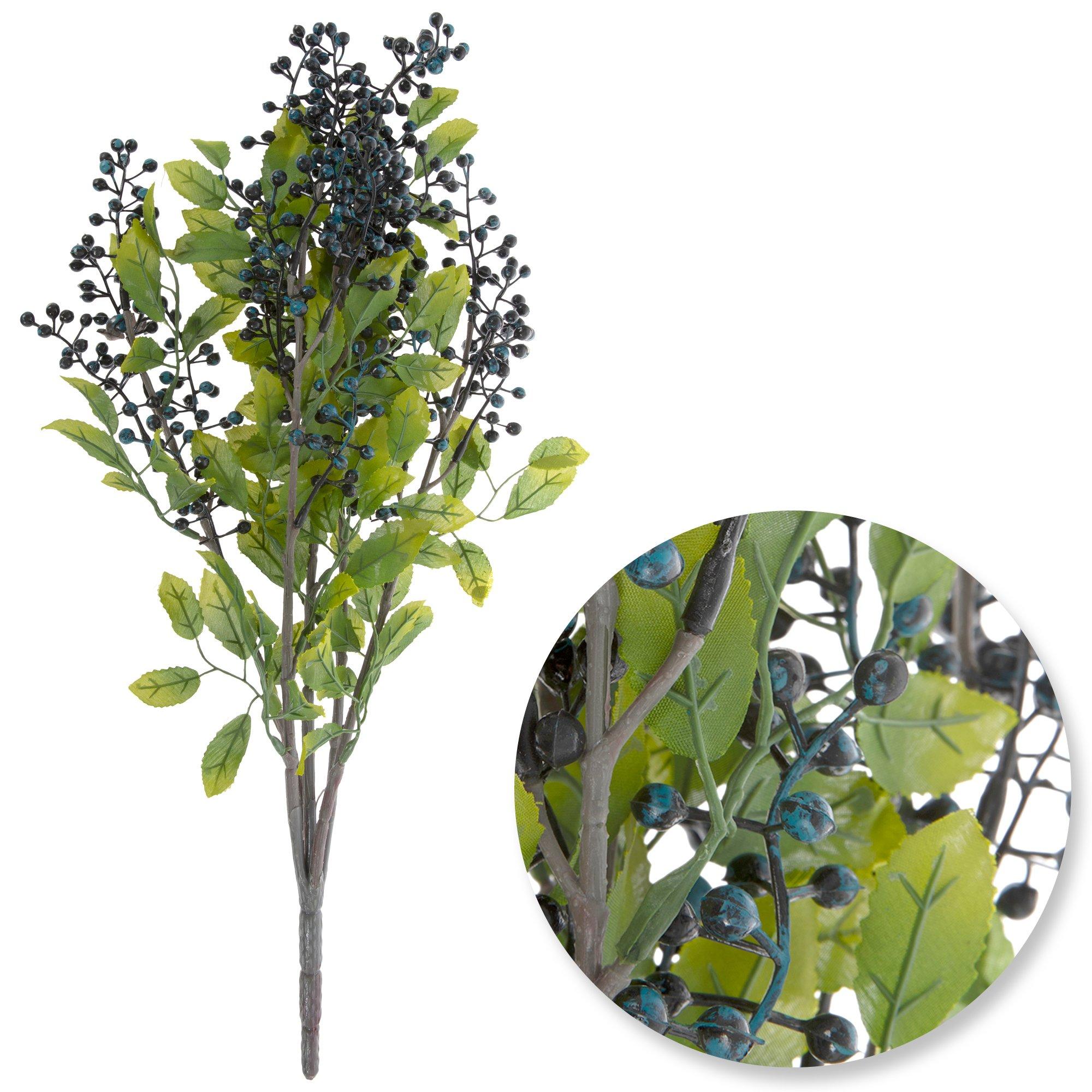 Black & Blue Berry Bush view 1
