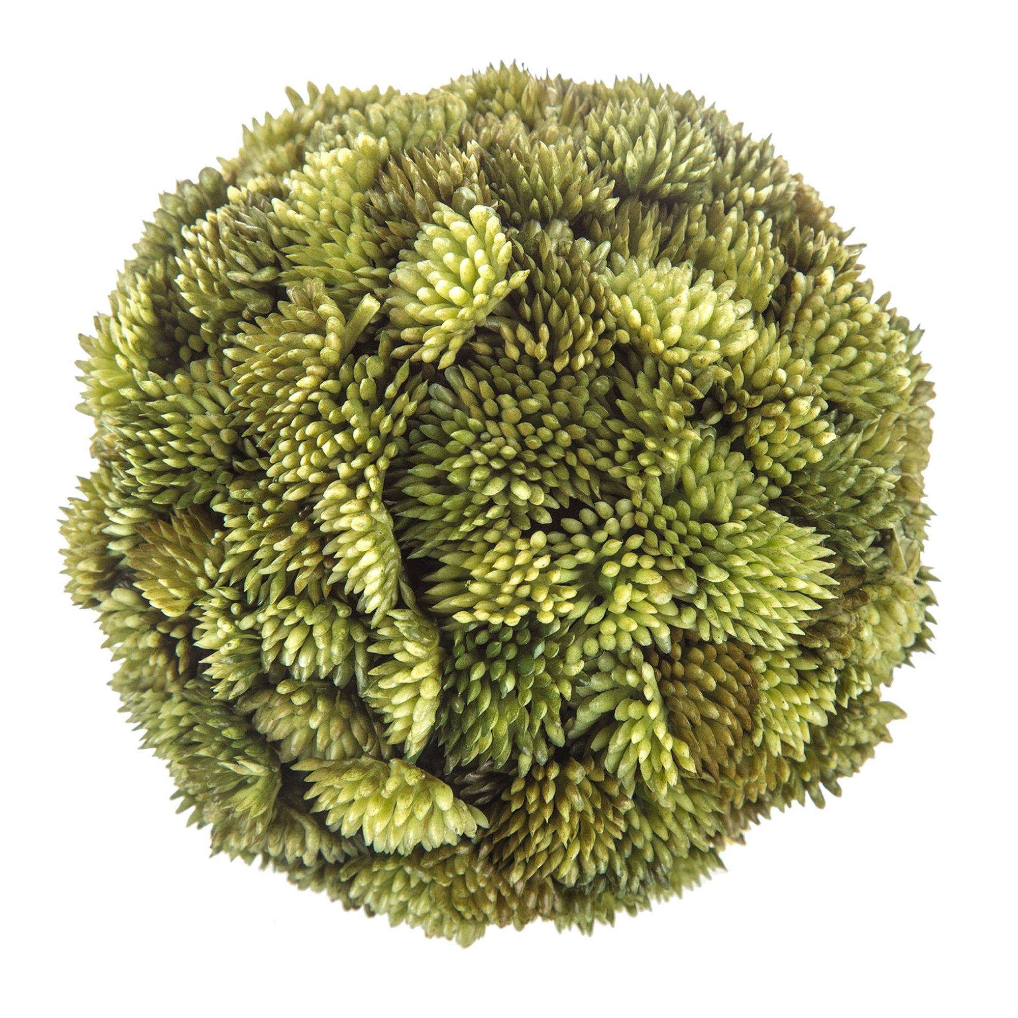 Selected Product Image