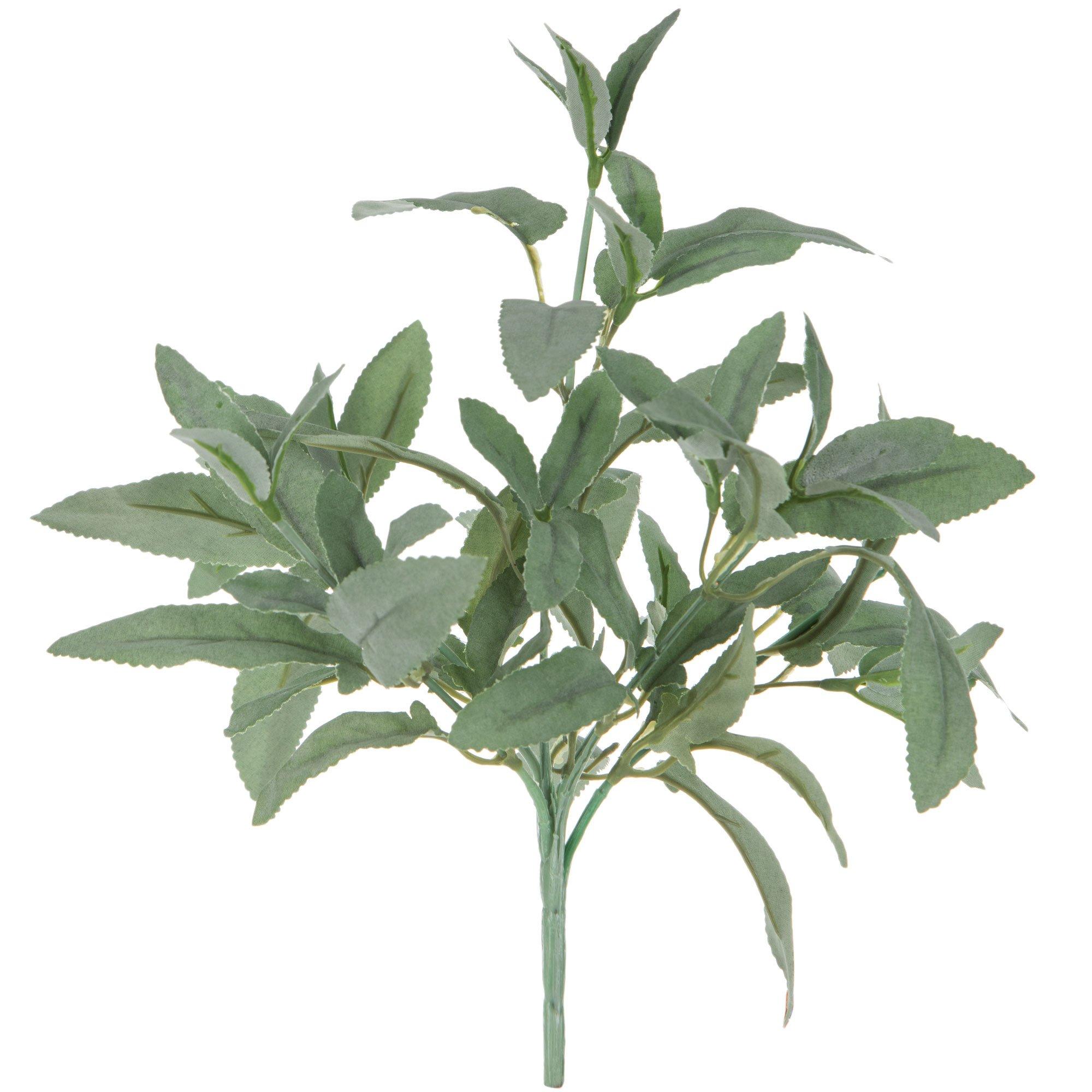 Mini April Sage