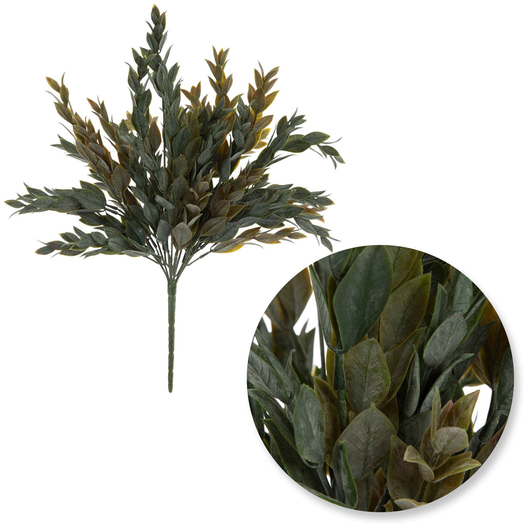 Selected Product Image