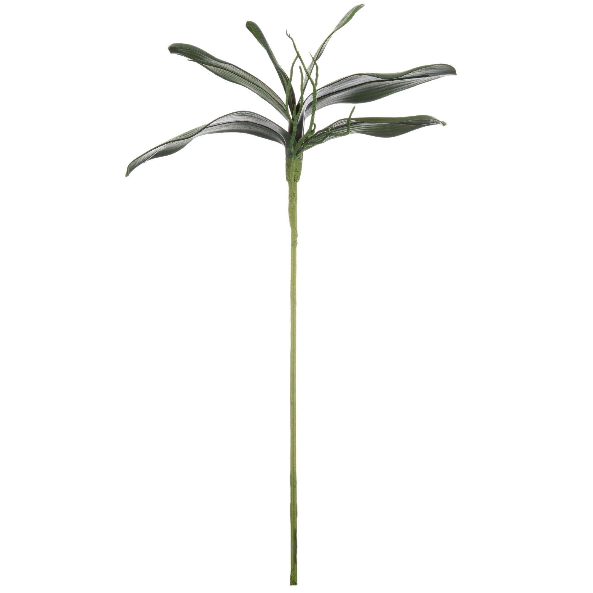 Orchid Leaves Stem Hobby Lobby 1396415