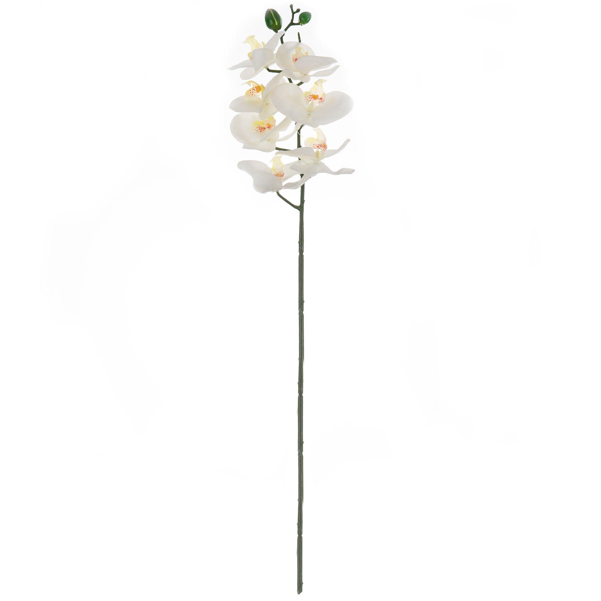 True Touch Phalaenopsis Orchid Stem Hobby Lobby 1397066