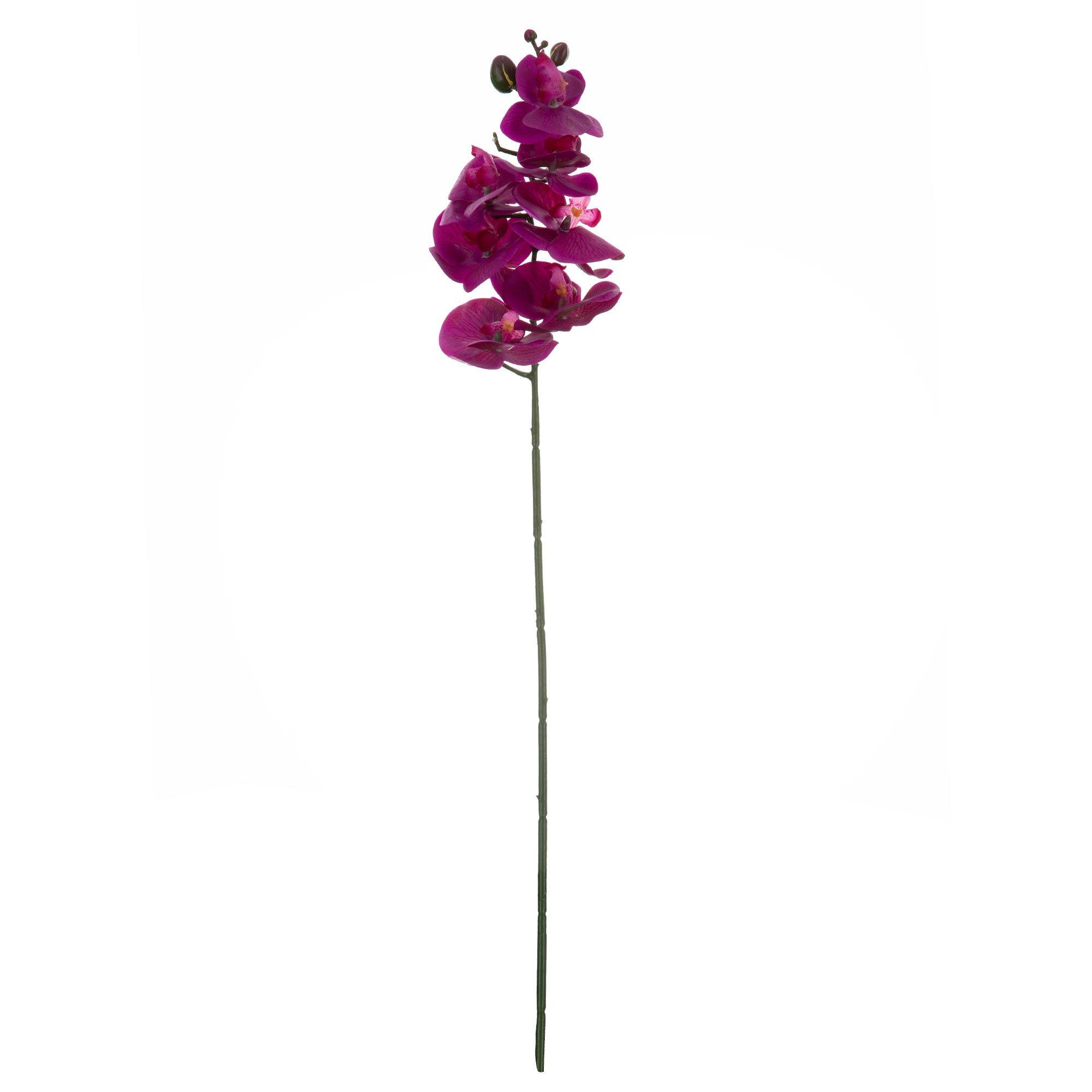 True Touch Phalaenopsis Orchid Stem Hobby Lobby 1397074