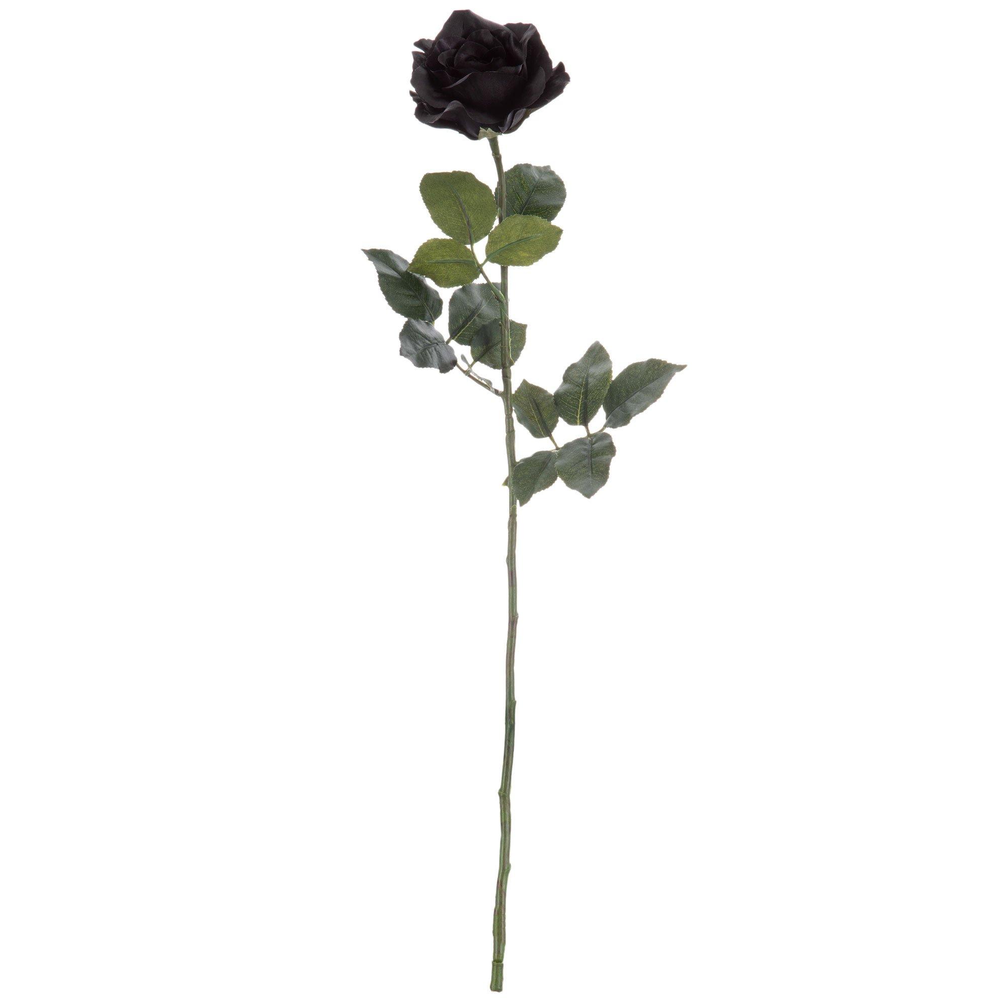 Black Rose Stem | Hobby Lobby | 1397637