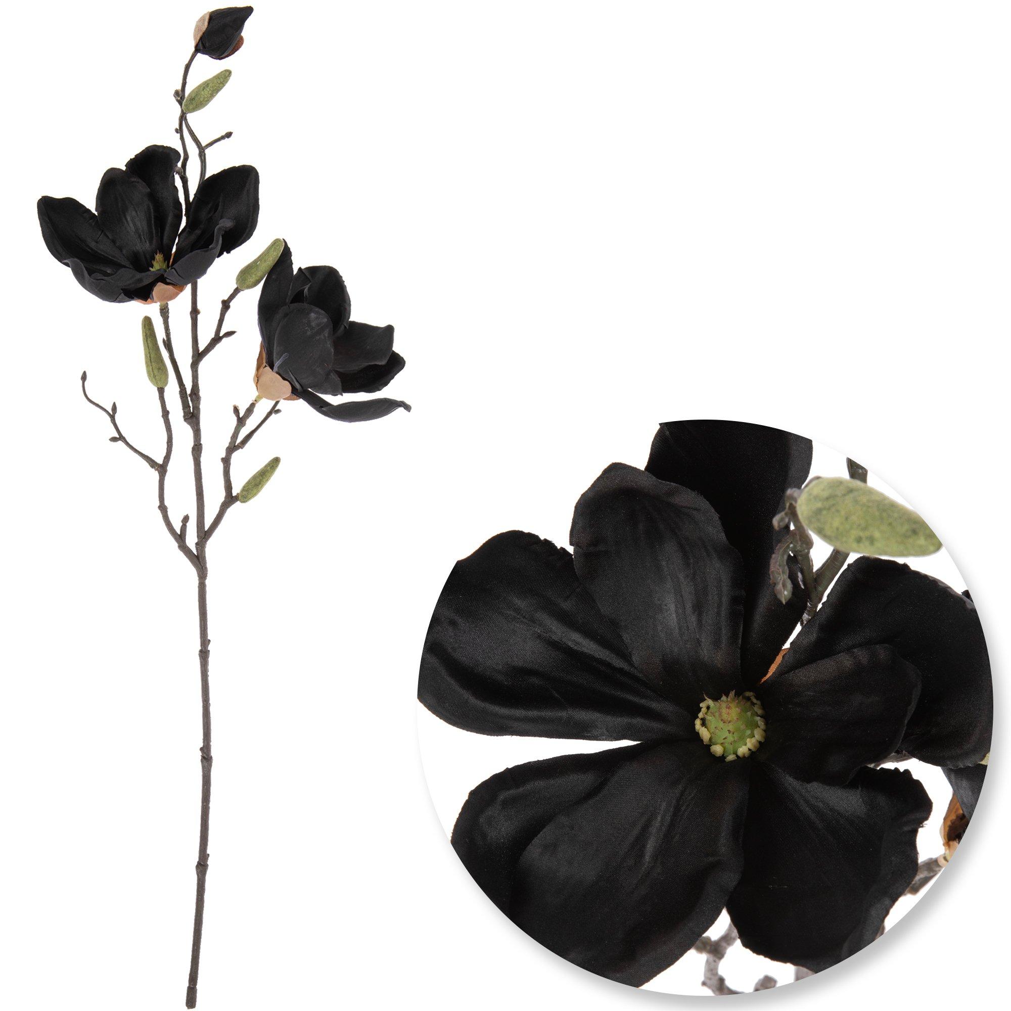 Selected Product Image