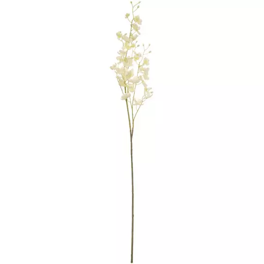 Mini Phalaenopsis Orchid Spray | Hobby Lobby | 142547