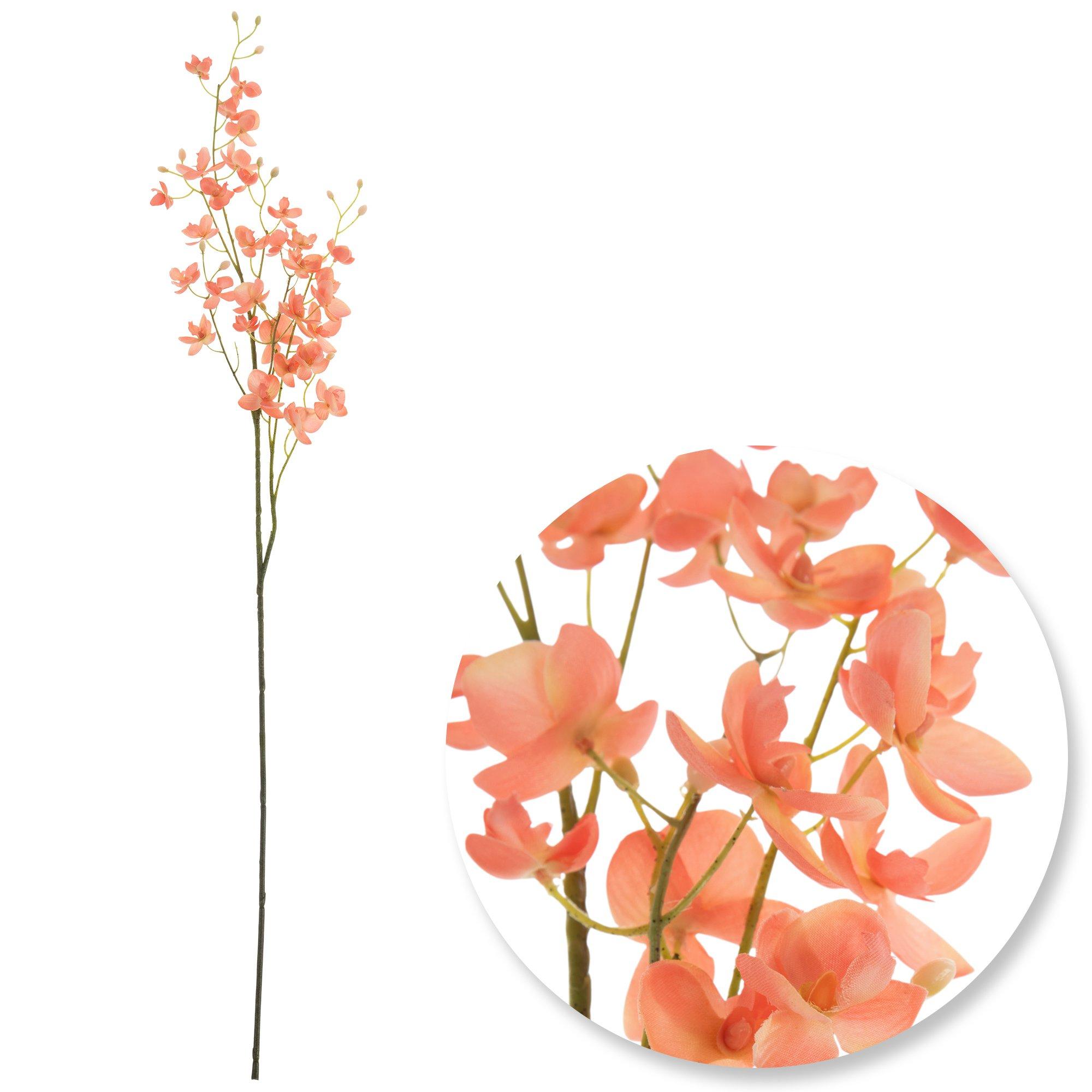 Selected Product Image