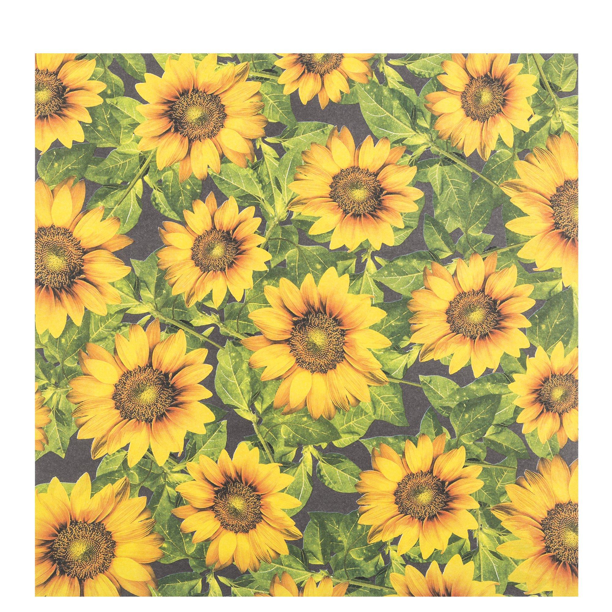 10 fogli 20,3X20,3 cm Double Face Sunflower Art CARTA PER SCRAPBOOKING  girasoli - RomaLab