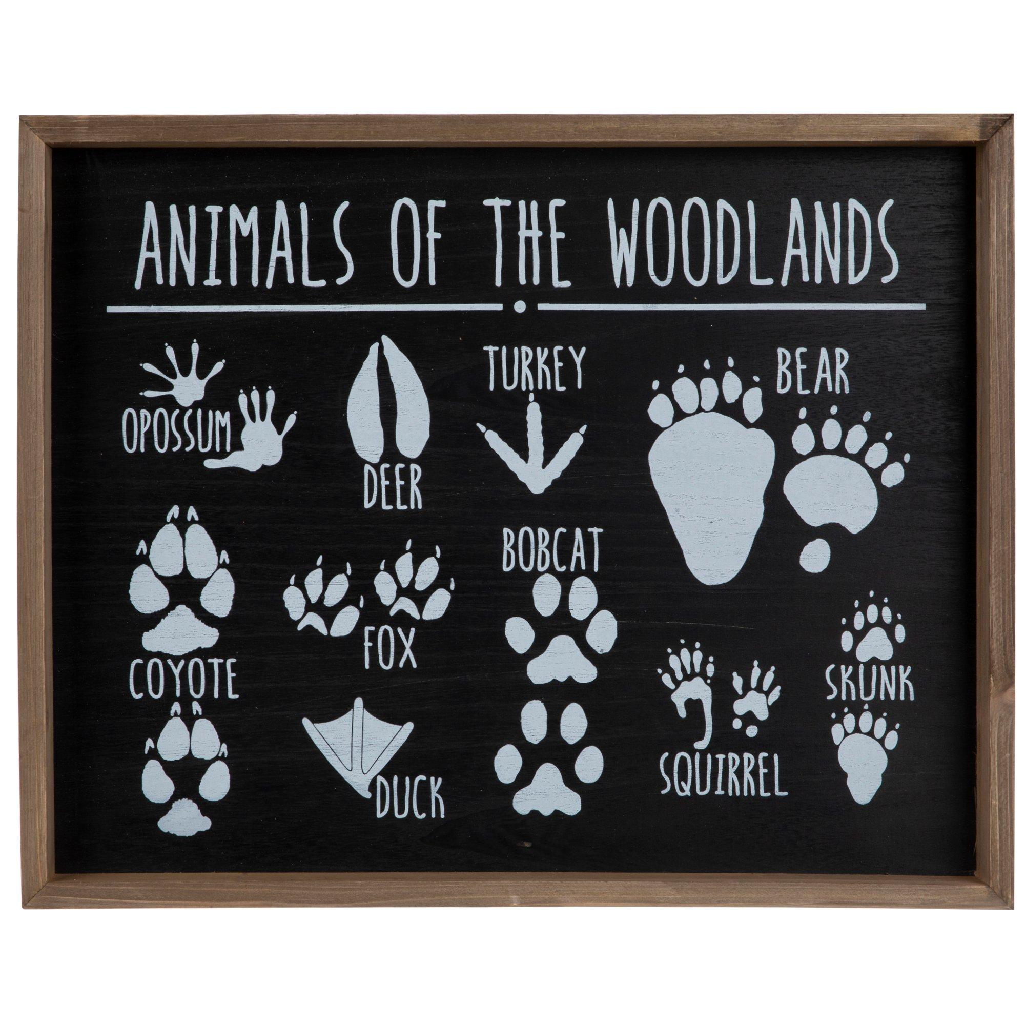 Animal Tracks Print Canvas Sign Woodland Animal Tracks Sign Paw Prints  Forest Animal Framed Print Nature Decor for Boys Girls Wall Art 