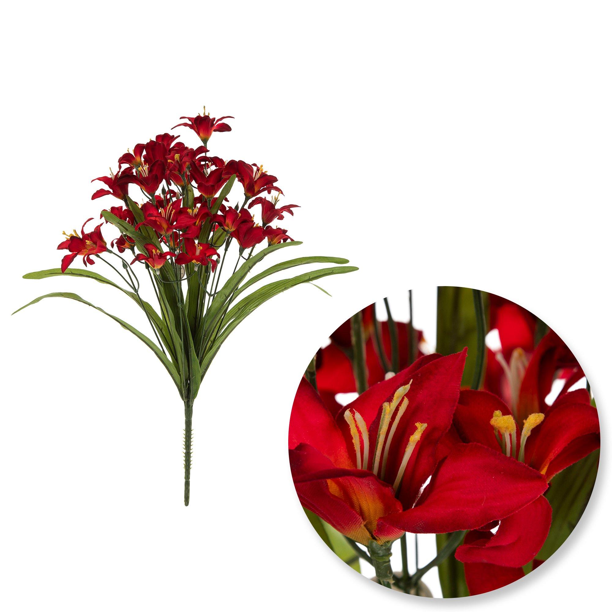 Mini Tiger Lily Bush