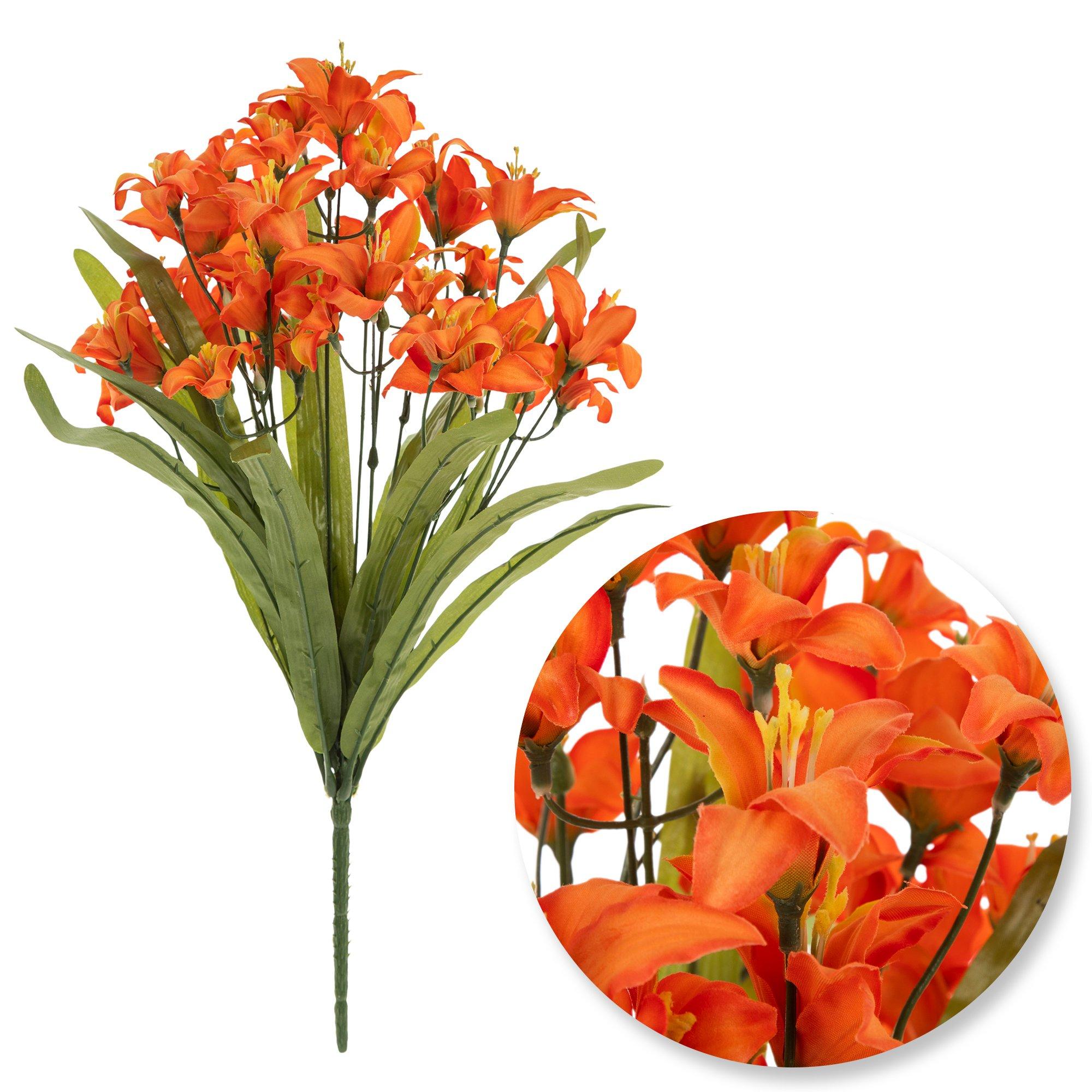 Selected Product Image